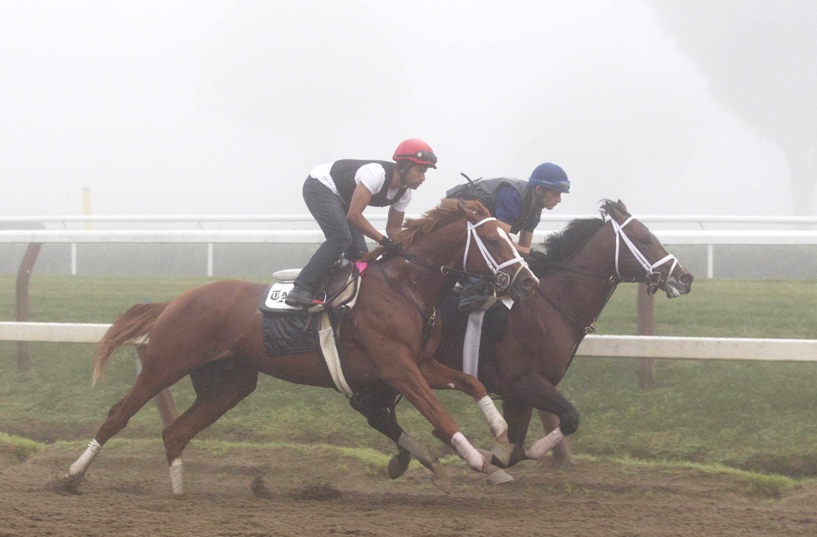 Madefromlucky trains with Materiality at Saratoga