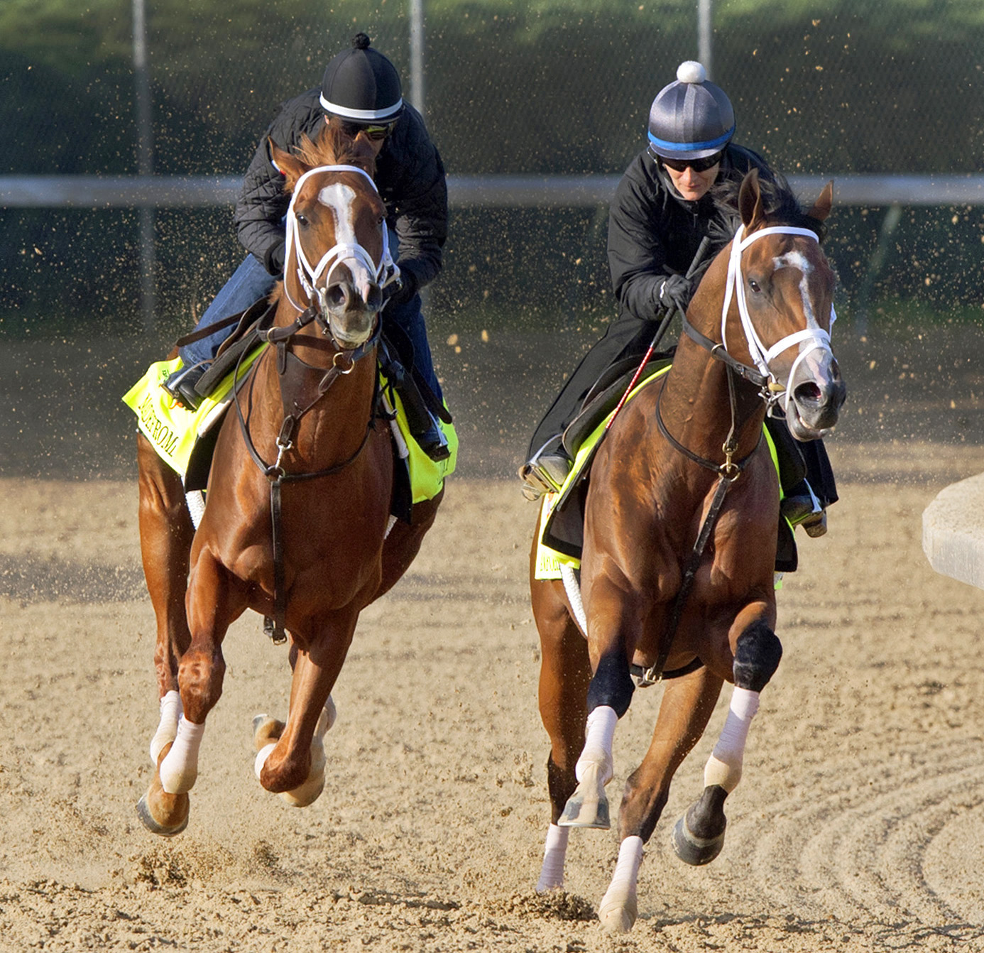 Madefromlucky trains with Stanford at Churchill Downs on April 24