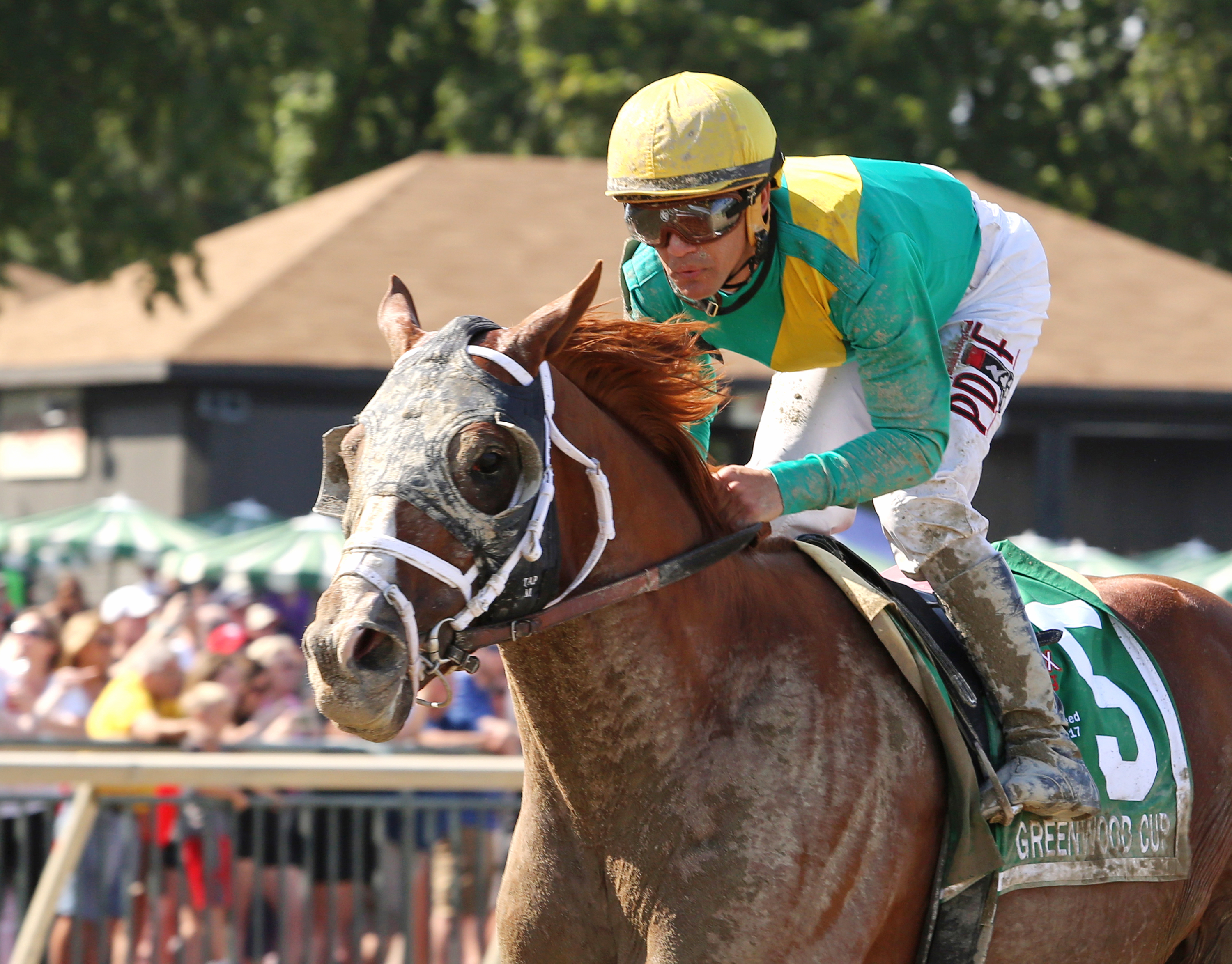 Madefromlucky wins the 2017 Greenwood Cup