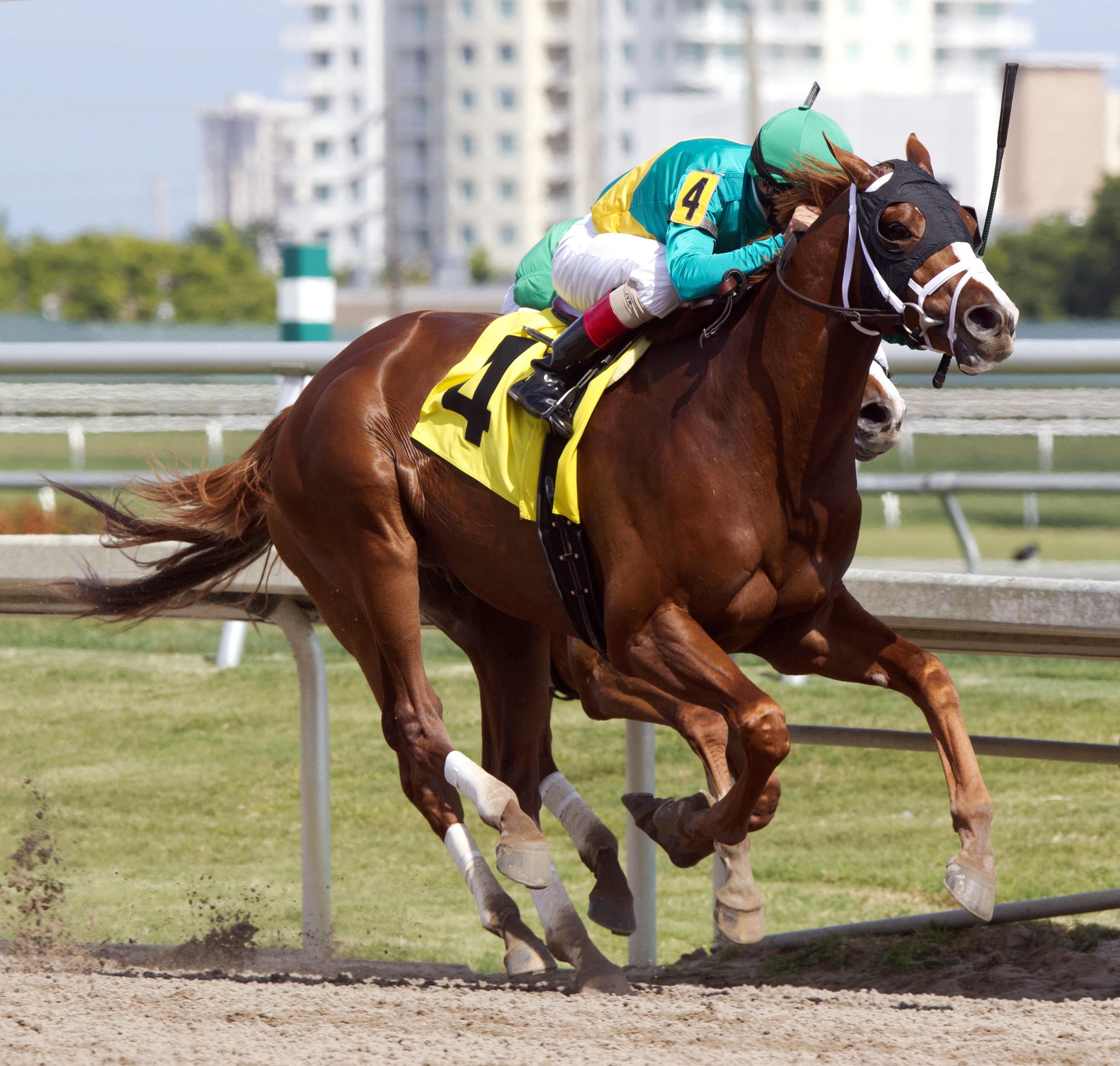 Madefromlucky wins an allowance race