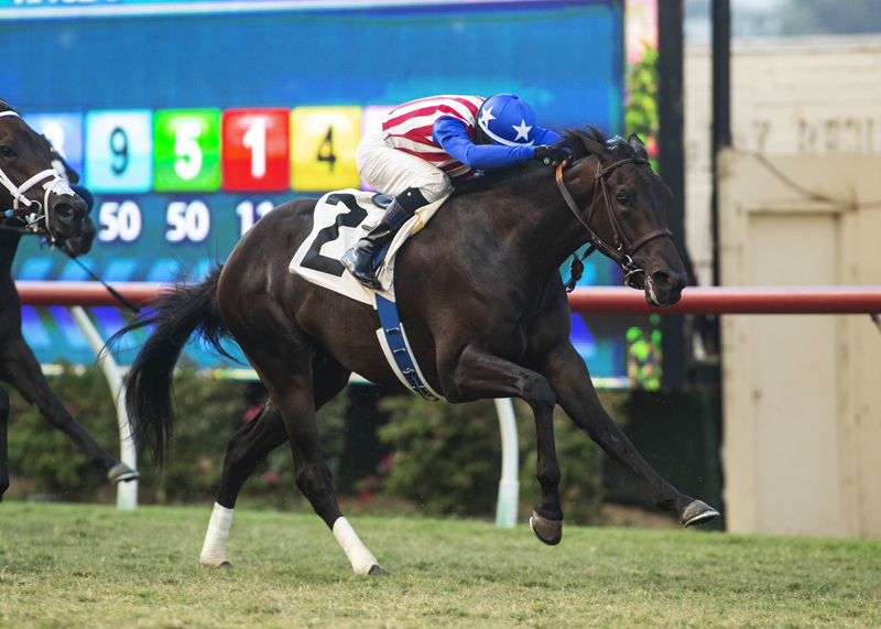 Madone/Del Mar Juvenile Fillies Turf
