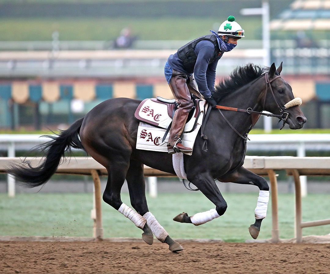 Madone trains at Santa Anita on Sept. 26