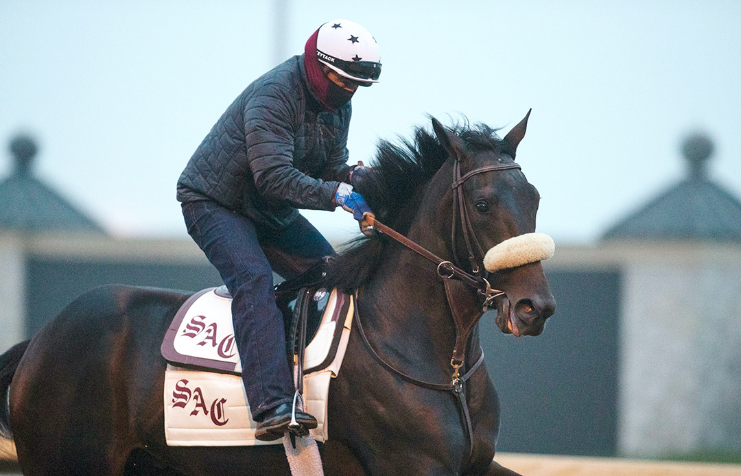 Madone trains at Keeneland Racecourse on Oct. 28