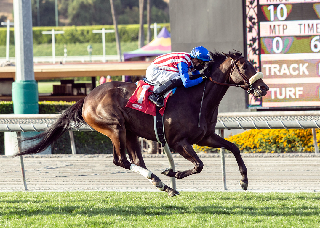 Madone wins the 2021 Senorita Stakes at Santa Anita Park
