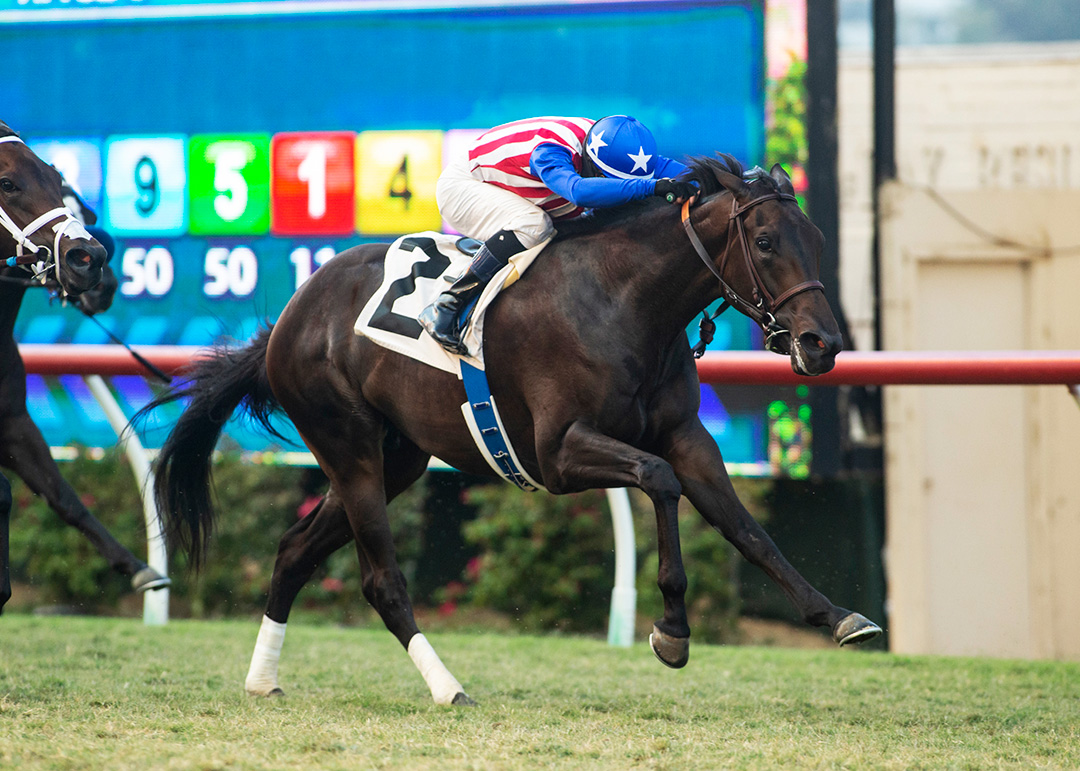 Madone wins the 2020 Del Mar Juvenile Fillies Turf at Del Mar