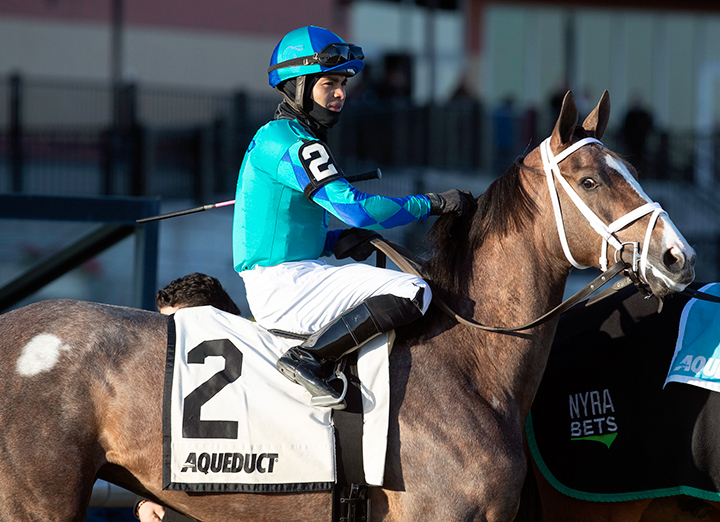 Maedean at the Demoiselle at Aqueduct Racetrack