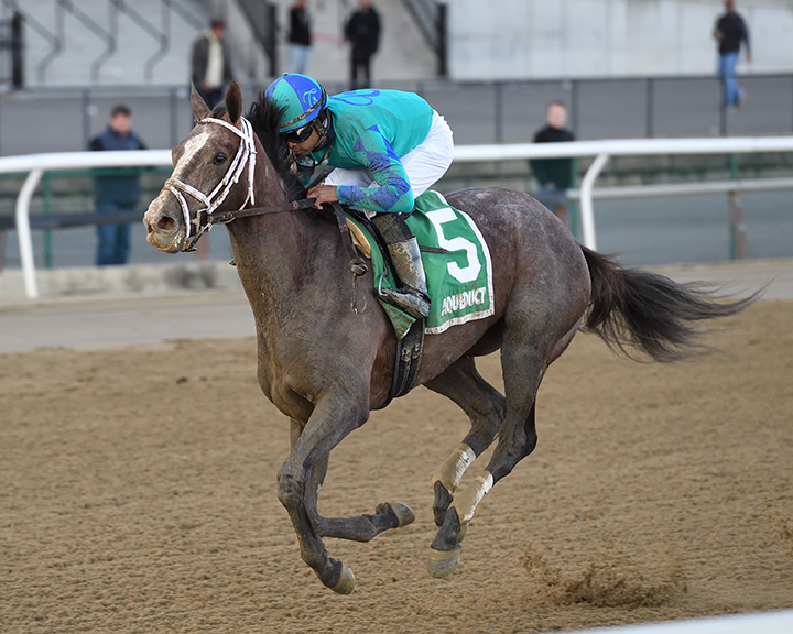 Maedean wins the 2019 Tempted Stakes at Aqueduct Racetrack