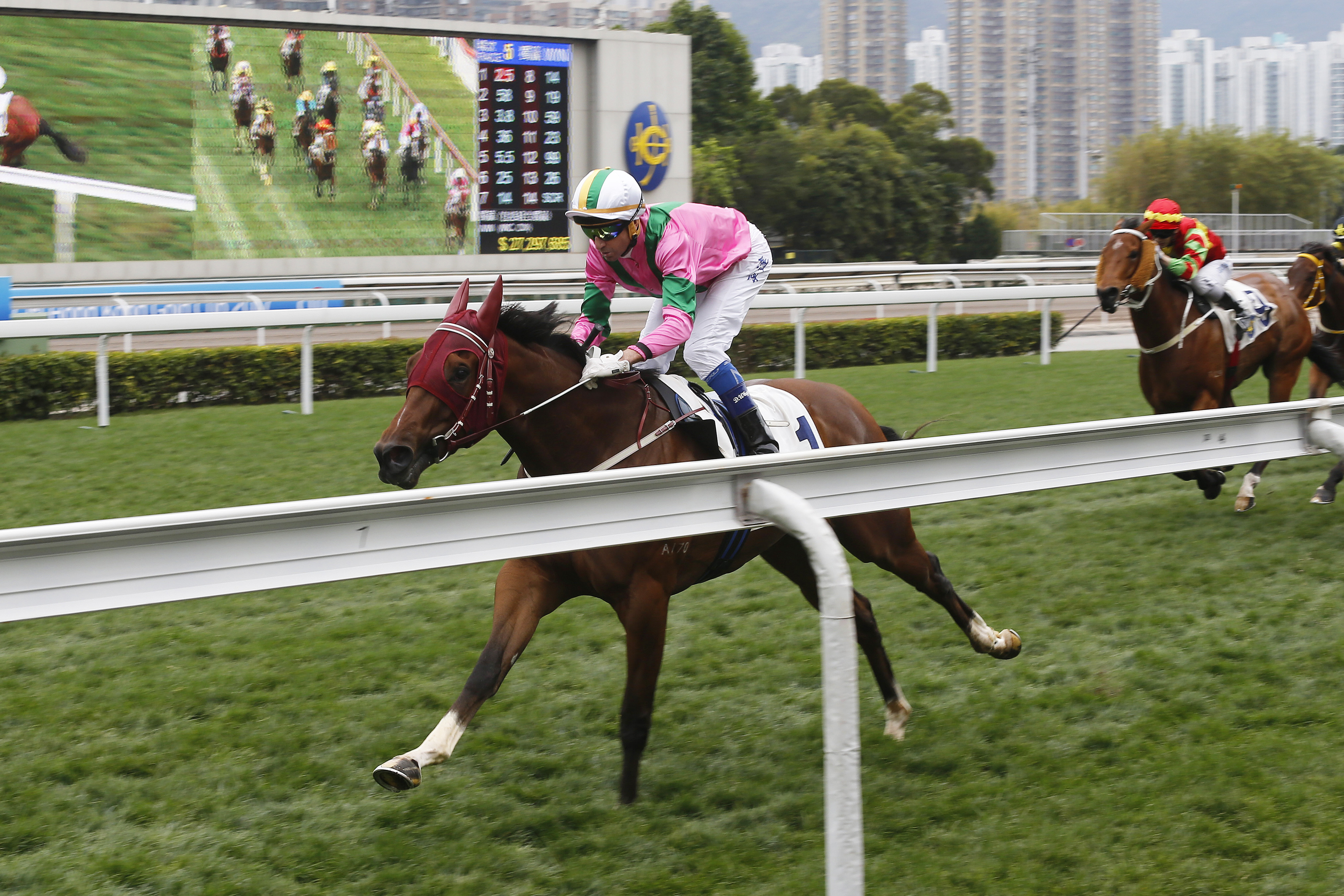 Magic Legend wins a 1200m race at Sha Tin on Feb. 26
