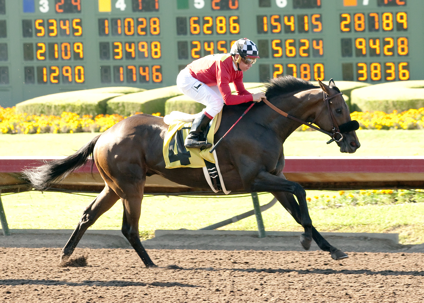 Magic Mark wins the 2015 Bertrando Stakes