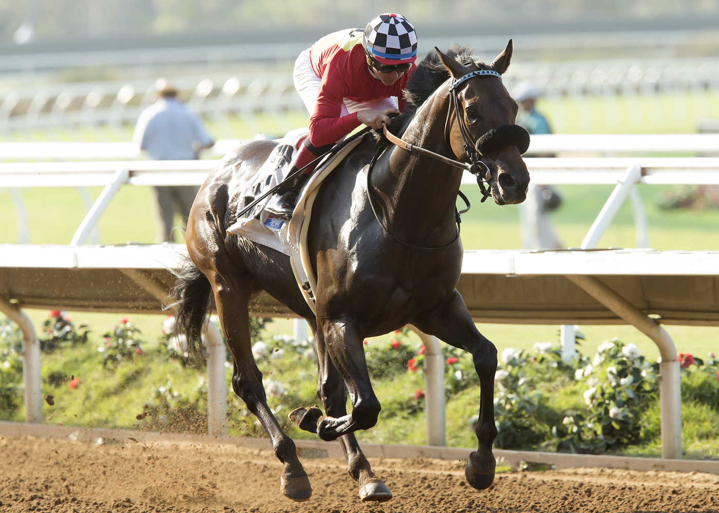 Magic Mark wins the 2nd division of the Harry F. Brubaker Stakes