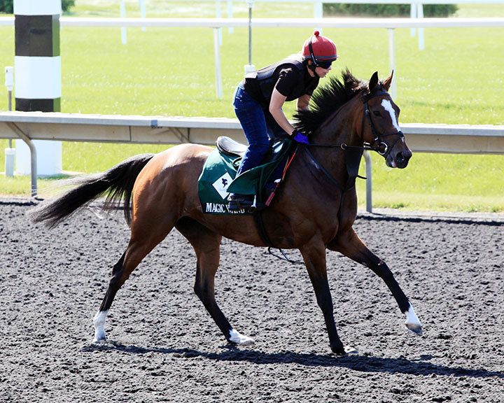 Magic Wand at Arlington Park in August 2019