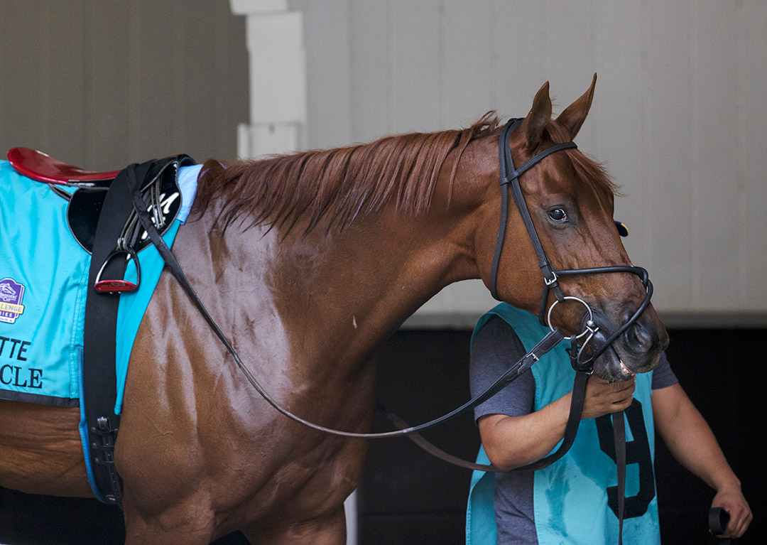 Magic Circle on Oct. 3 at Belmont Park