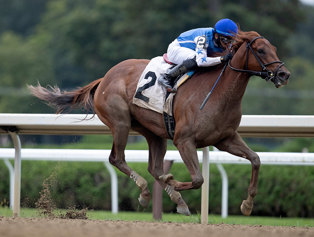 Magic Circle wins a Sept. 5 maiden race at Saratoga