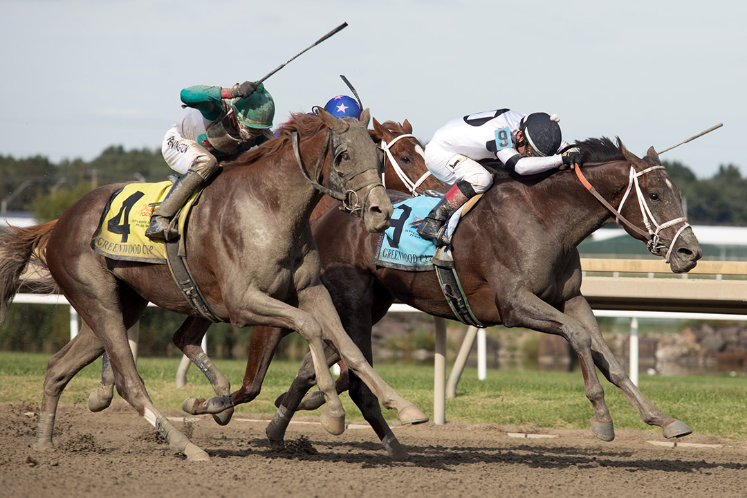 Last Samurai (right) finishes second in the 2021 Greenwood Cup at Parx Racing