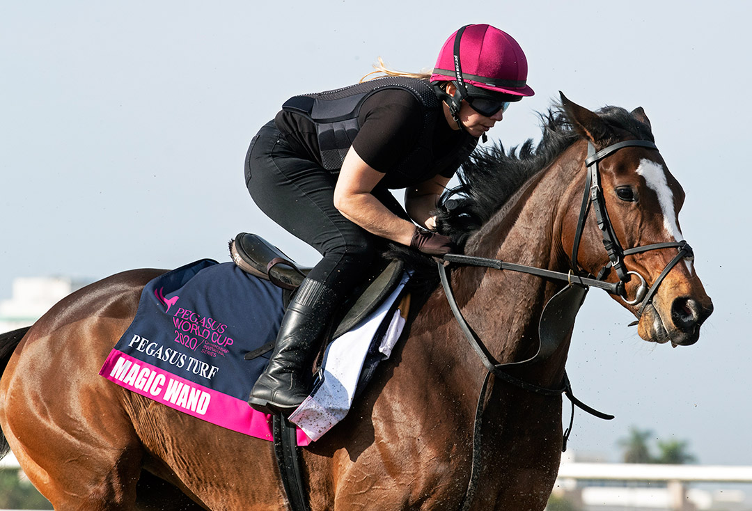 Magic Wand at Gulfstream Park in January 2020