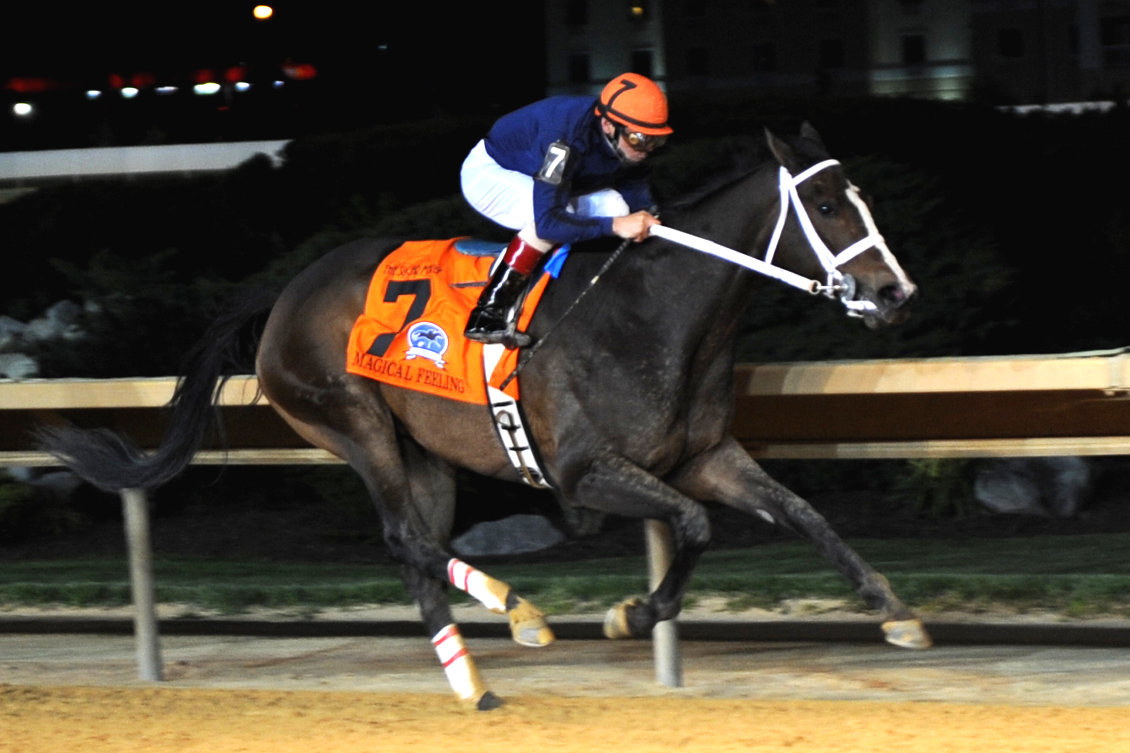 Magical Feeling 4-14-2012