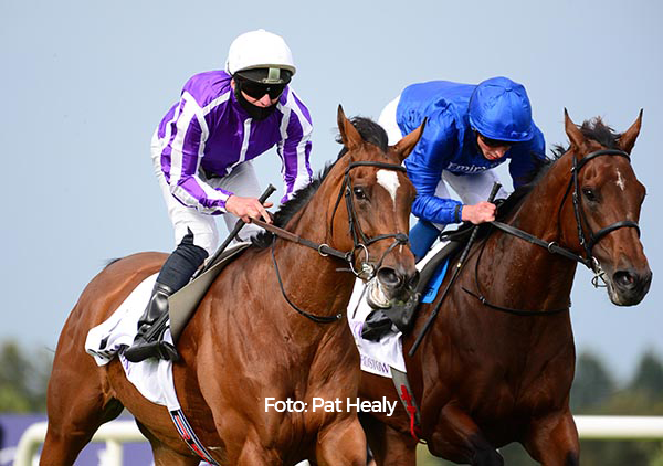 Magical / Leopardstown