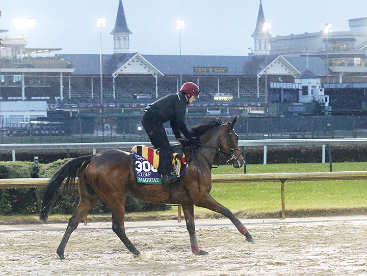 Magical trains at Churchill Downs before the 2018 Breeders' Cup