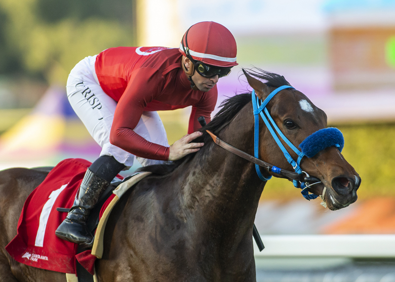 Maglev wins Baffle Stakes 1-30-2022