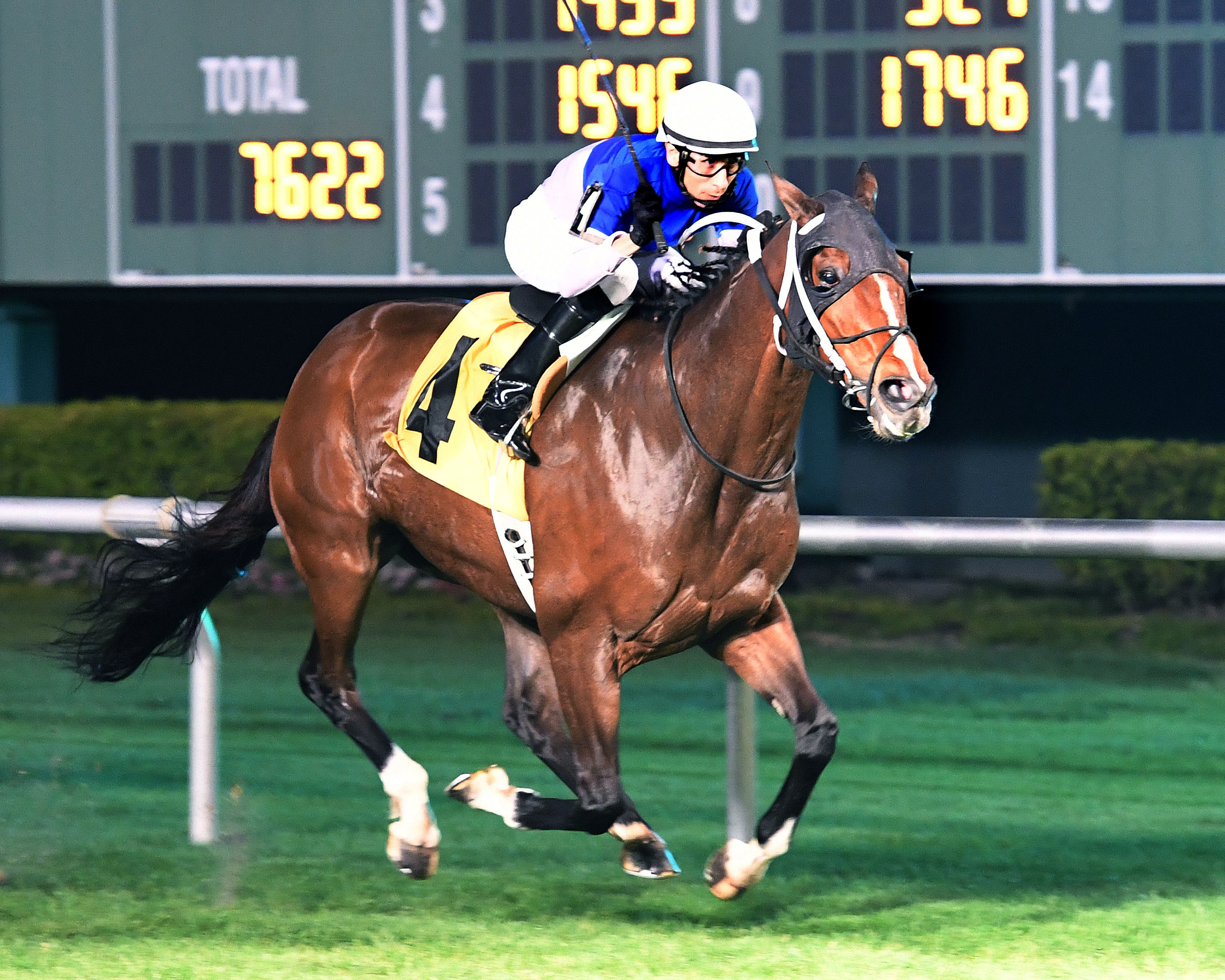 Magna Breeze wins the Houston Turf Stakes