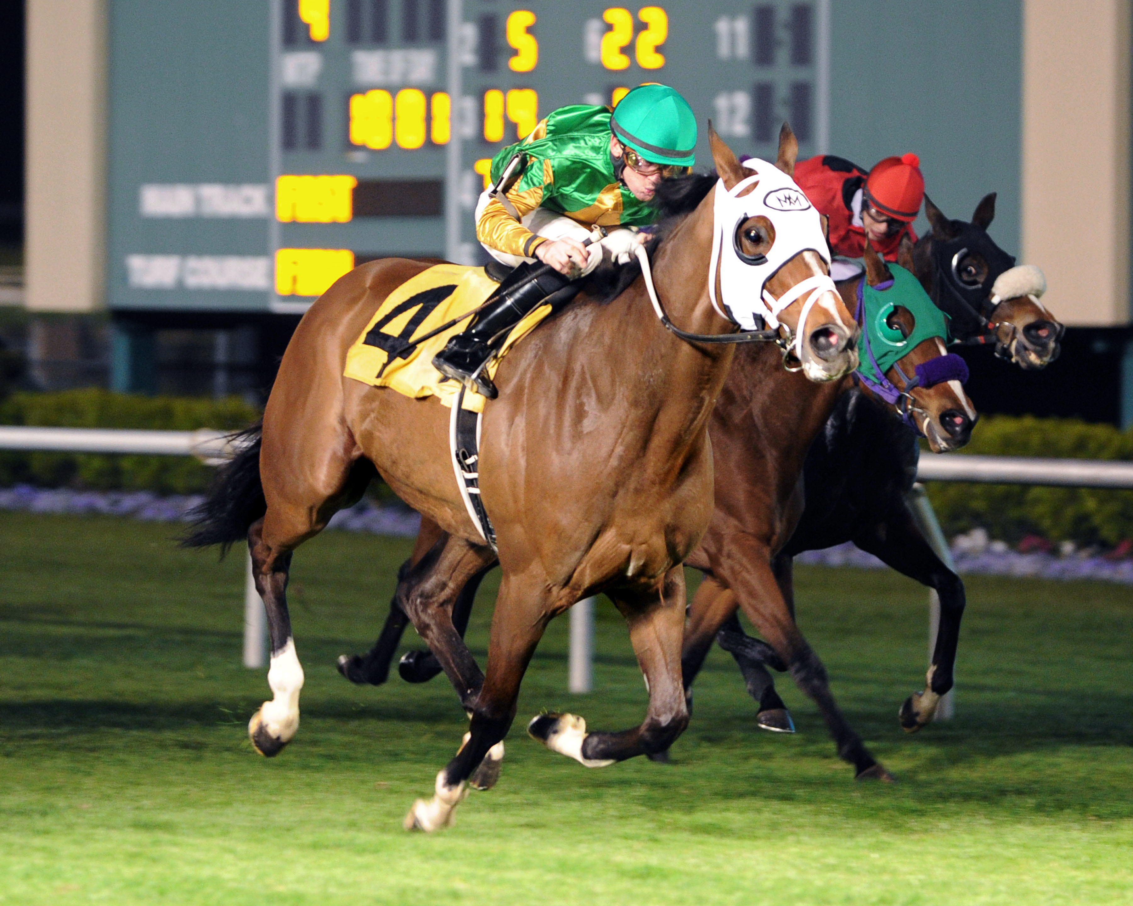Magna Breeze wins the 2015 Jersey Village Turf Stakes