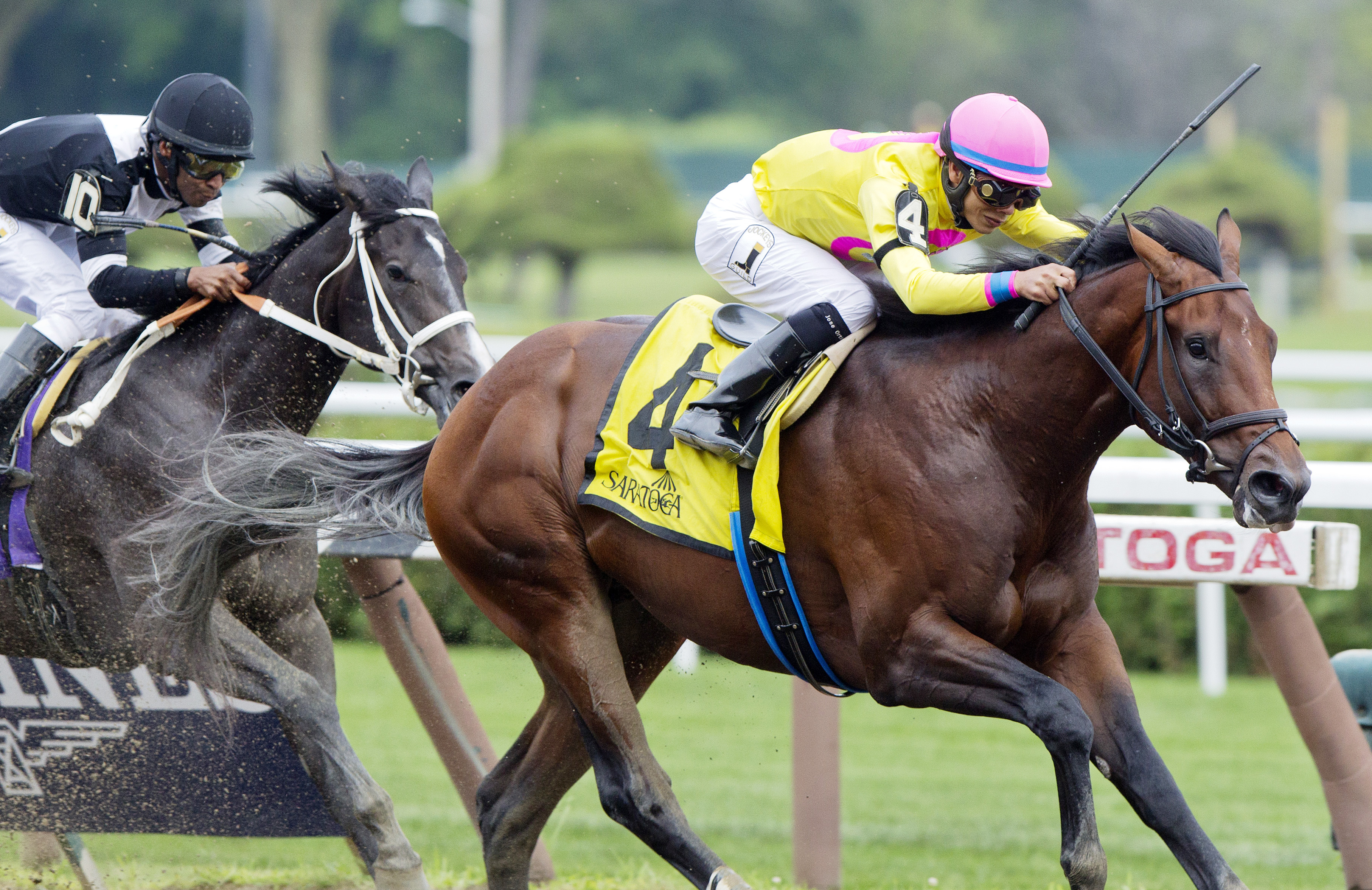 Magna Light in the Sanford Stakes