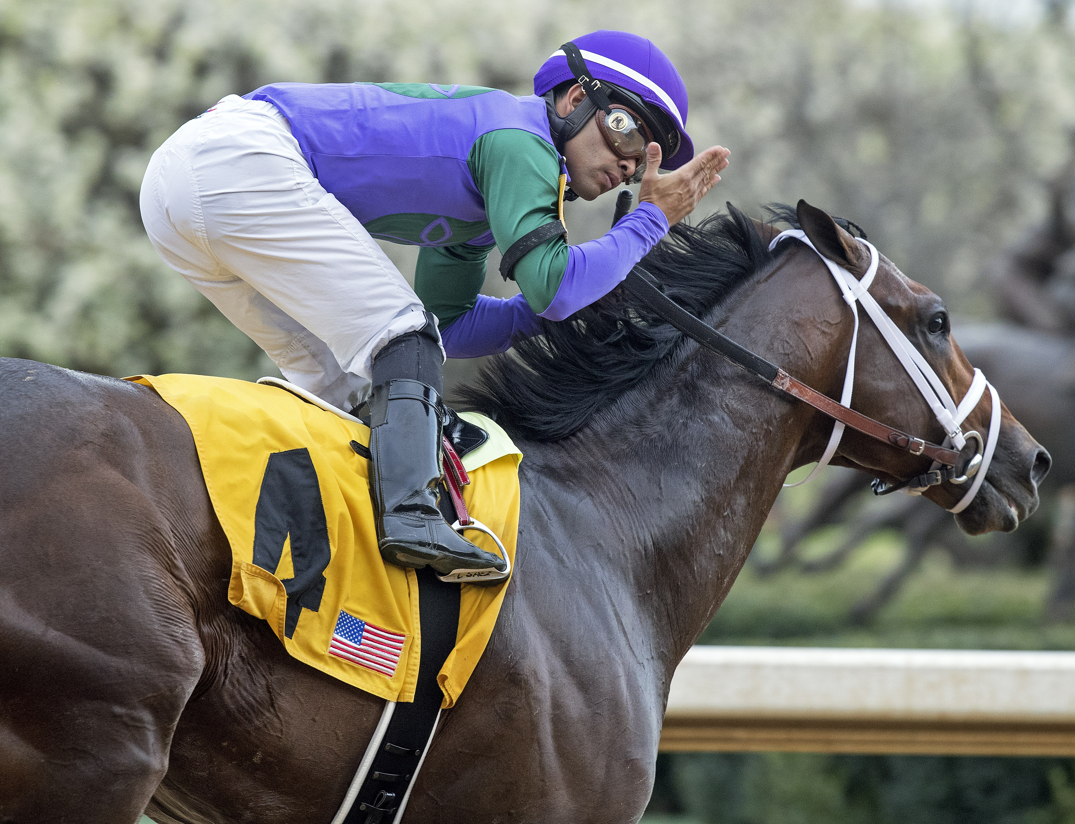 Magnum Moon wins the 2018 Rebel Stakes