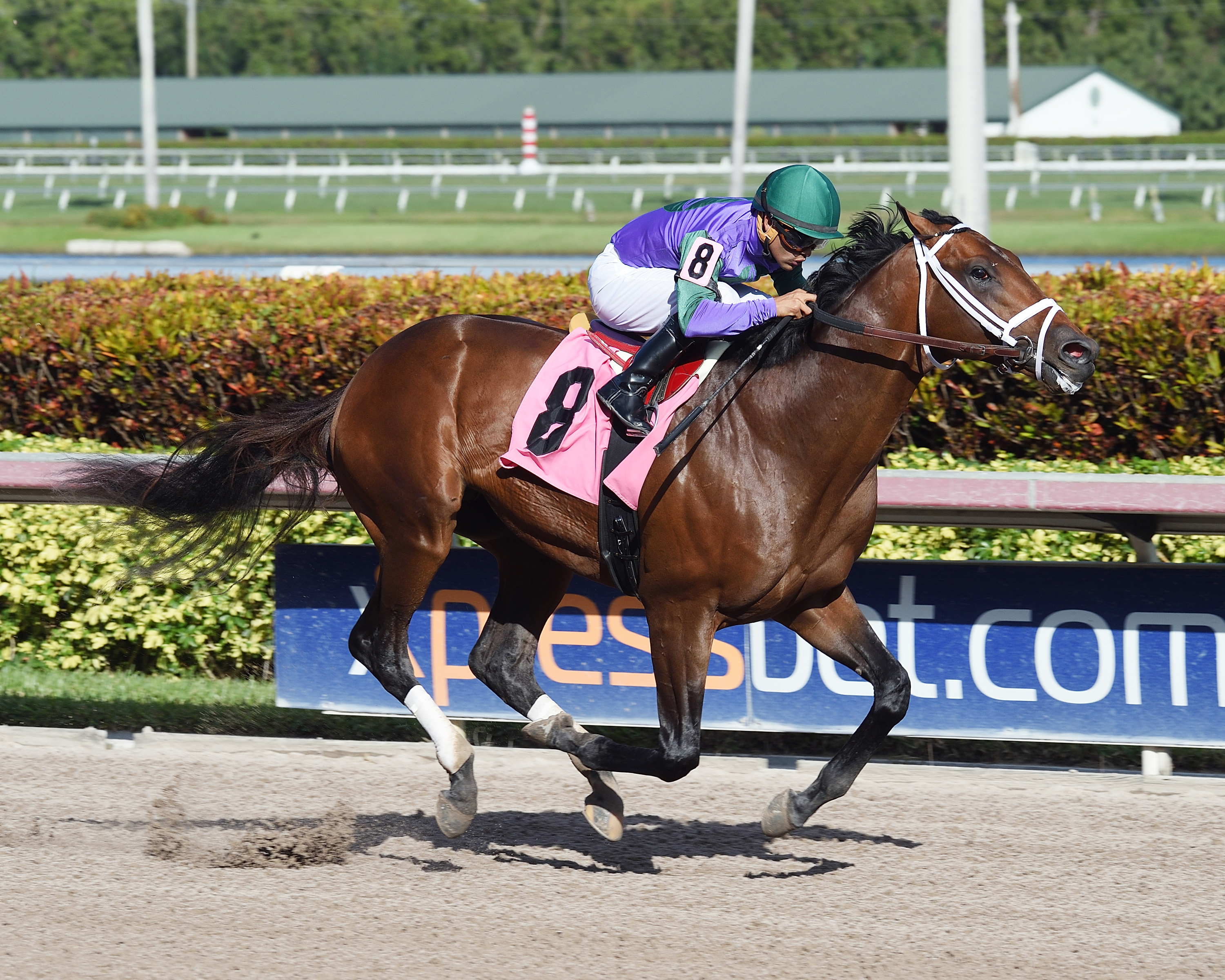 Magnum Moon wins a Jan. 13 maiden race