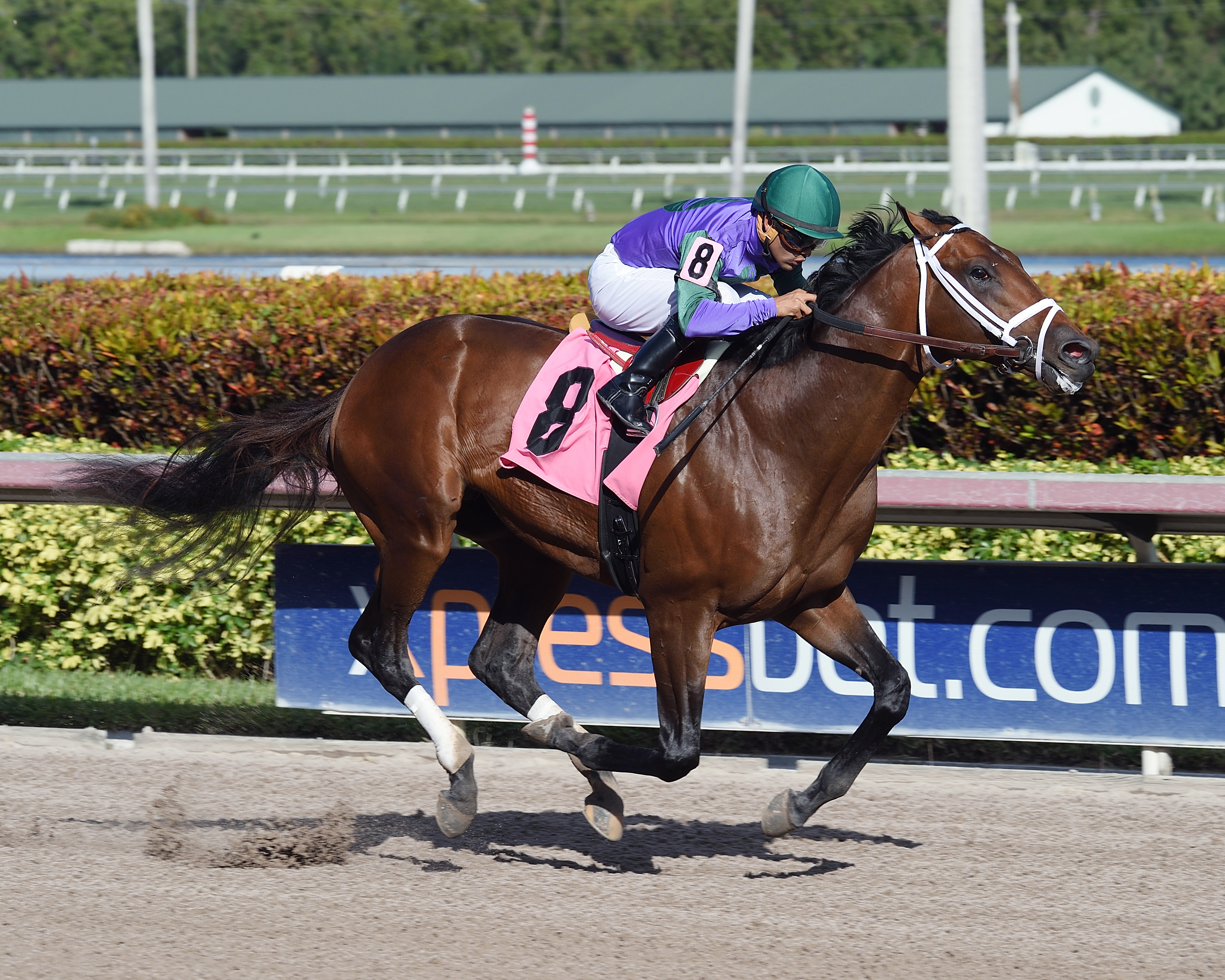Magnum Moon wins a Jan. 13 maiden race