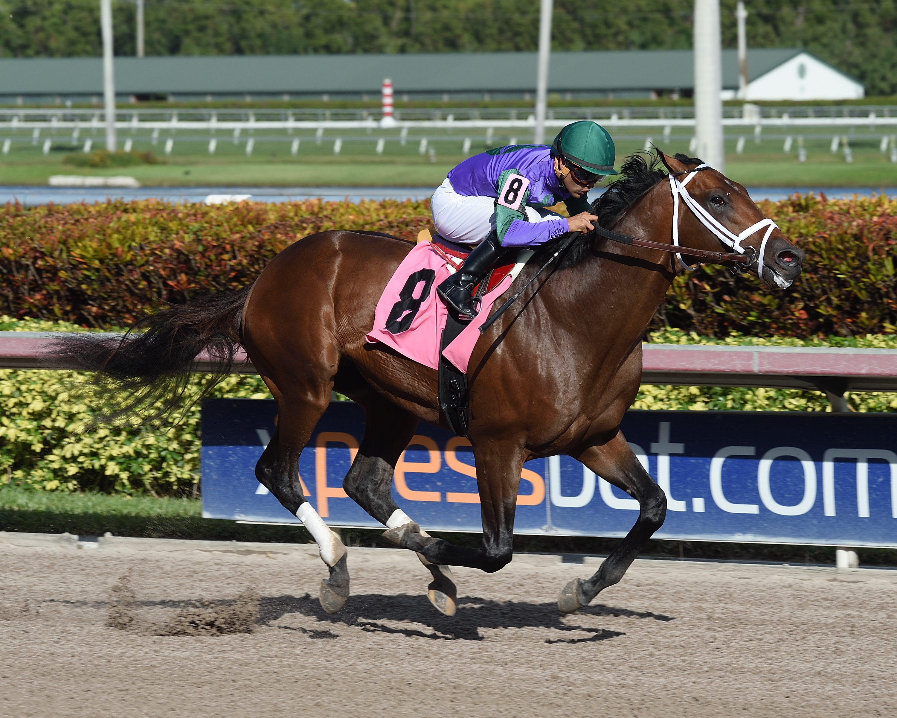 Magnum Moon wins a Jan. 13 maiden race