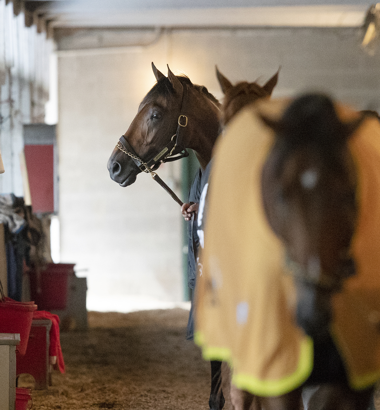 Magnum Moon at Churchill on April 25