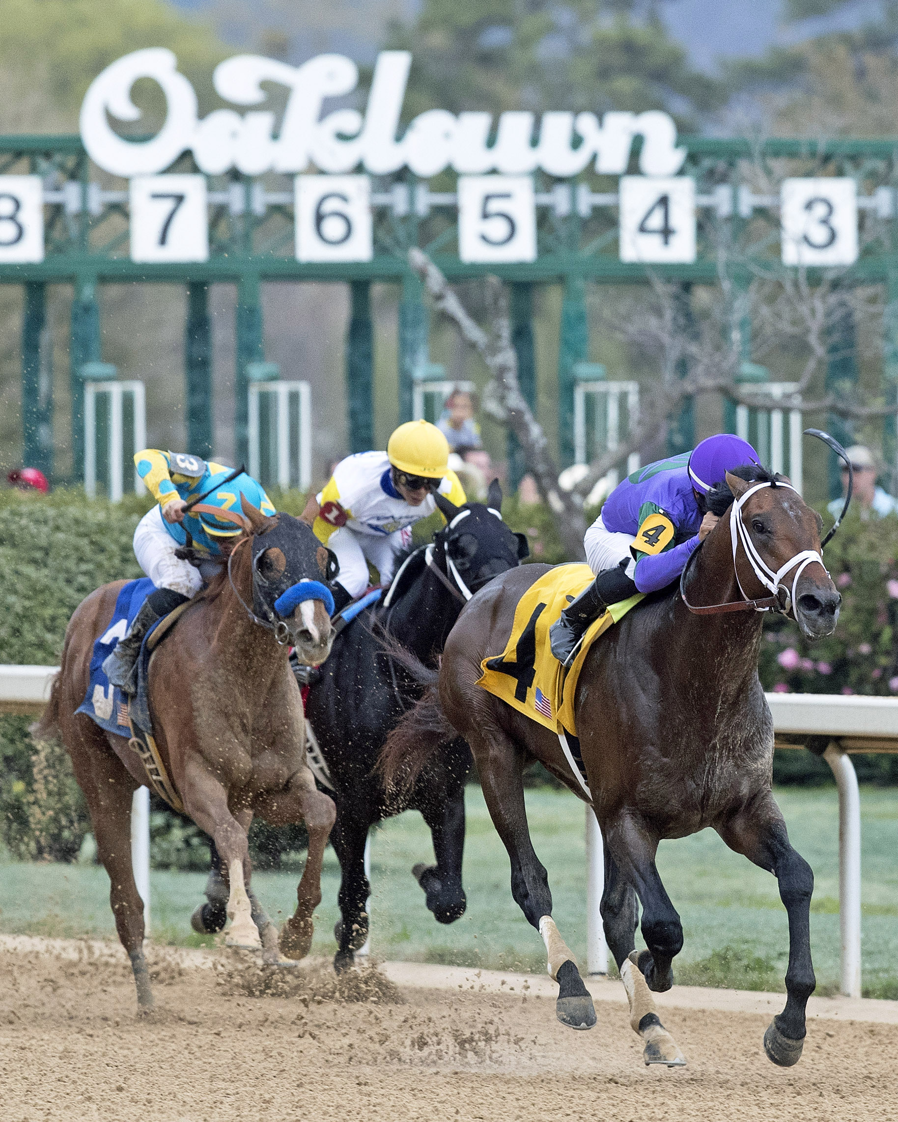 Magnum Moon wins the Rebel Stakes