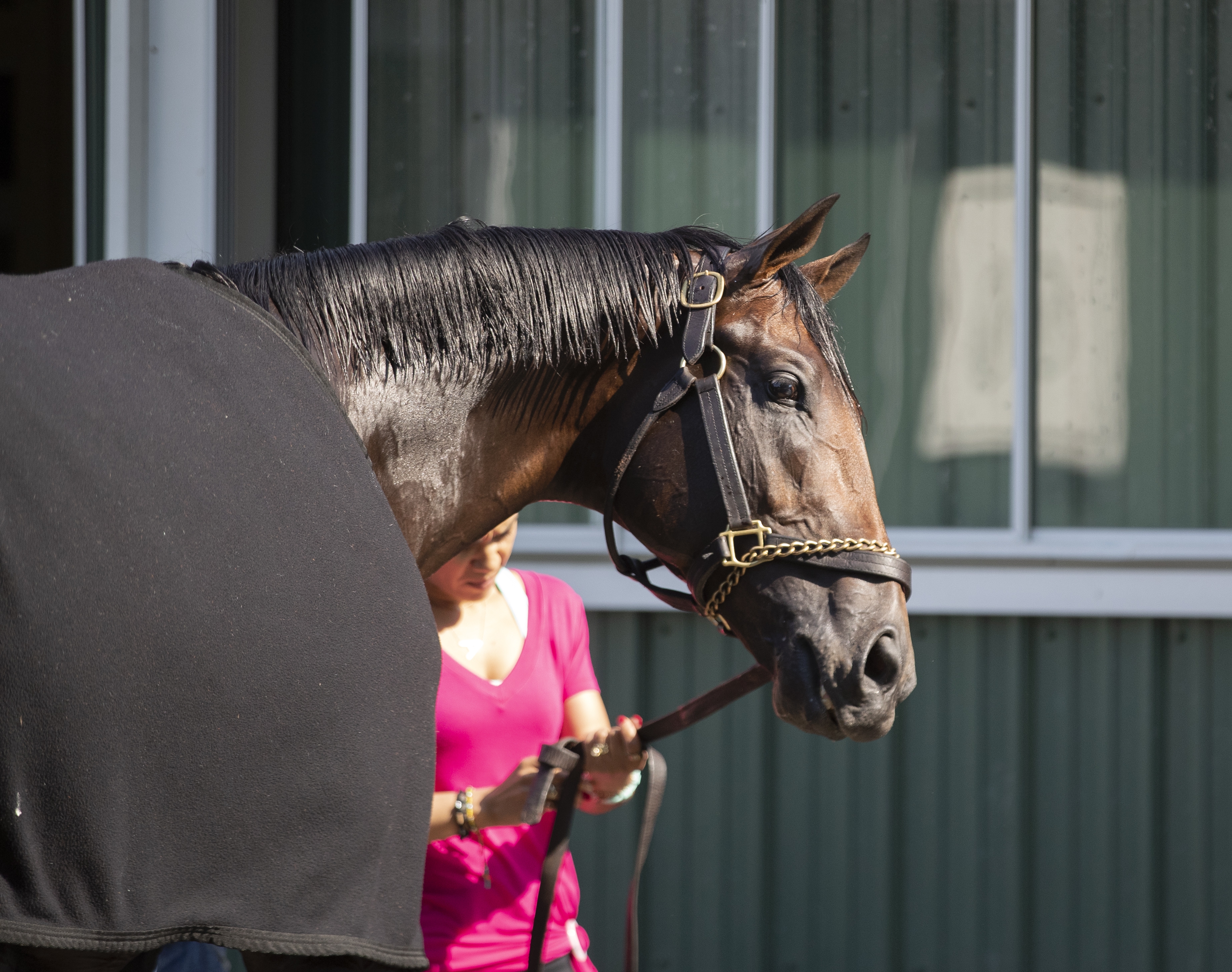 Magnum Moon at Belmont Park on May 25, 2018