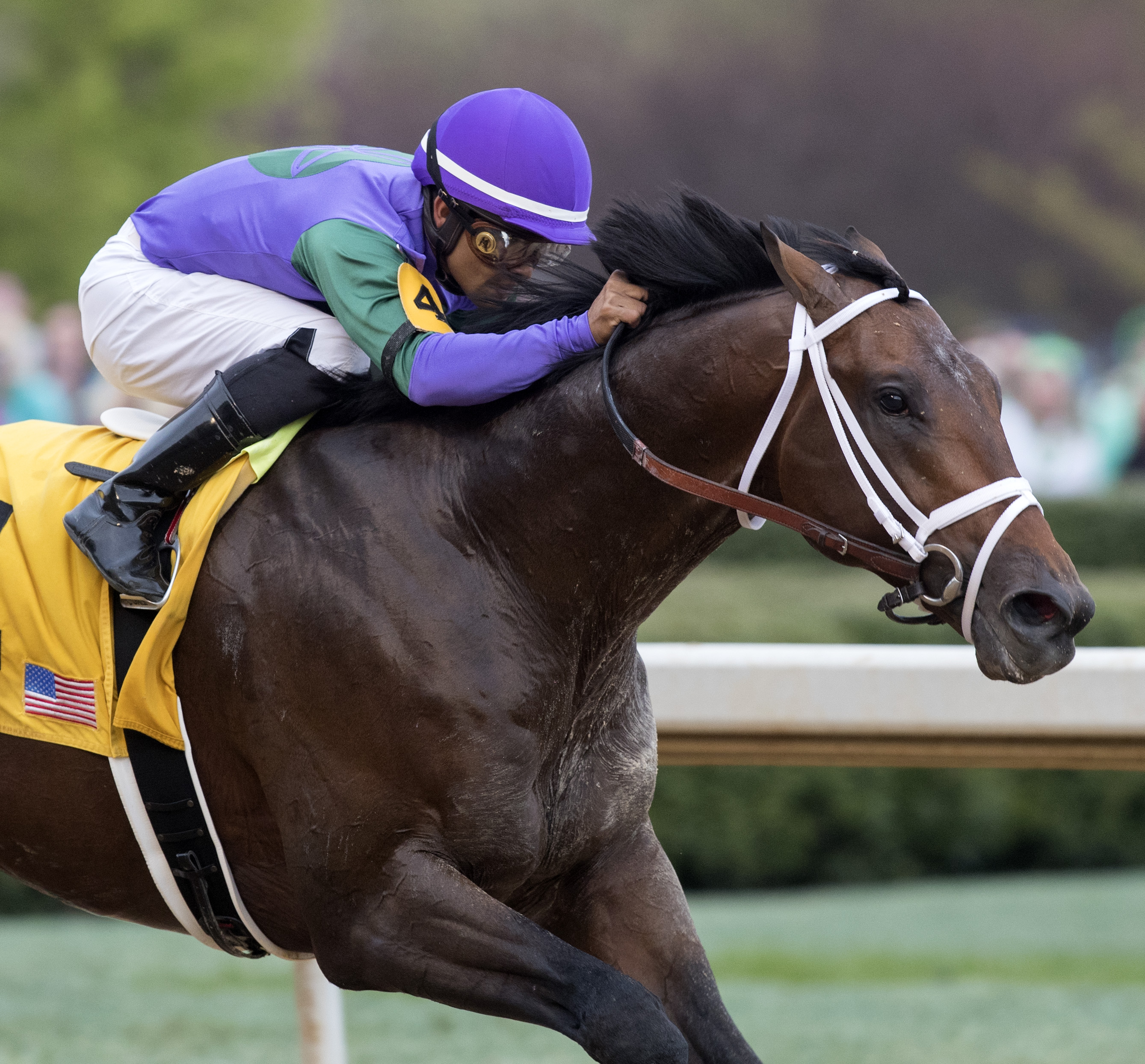 Magnum Moon wins 2018 Rebel Stakes