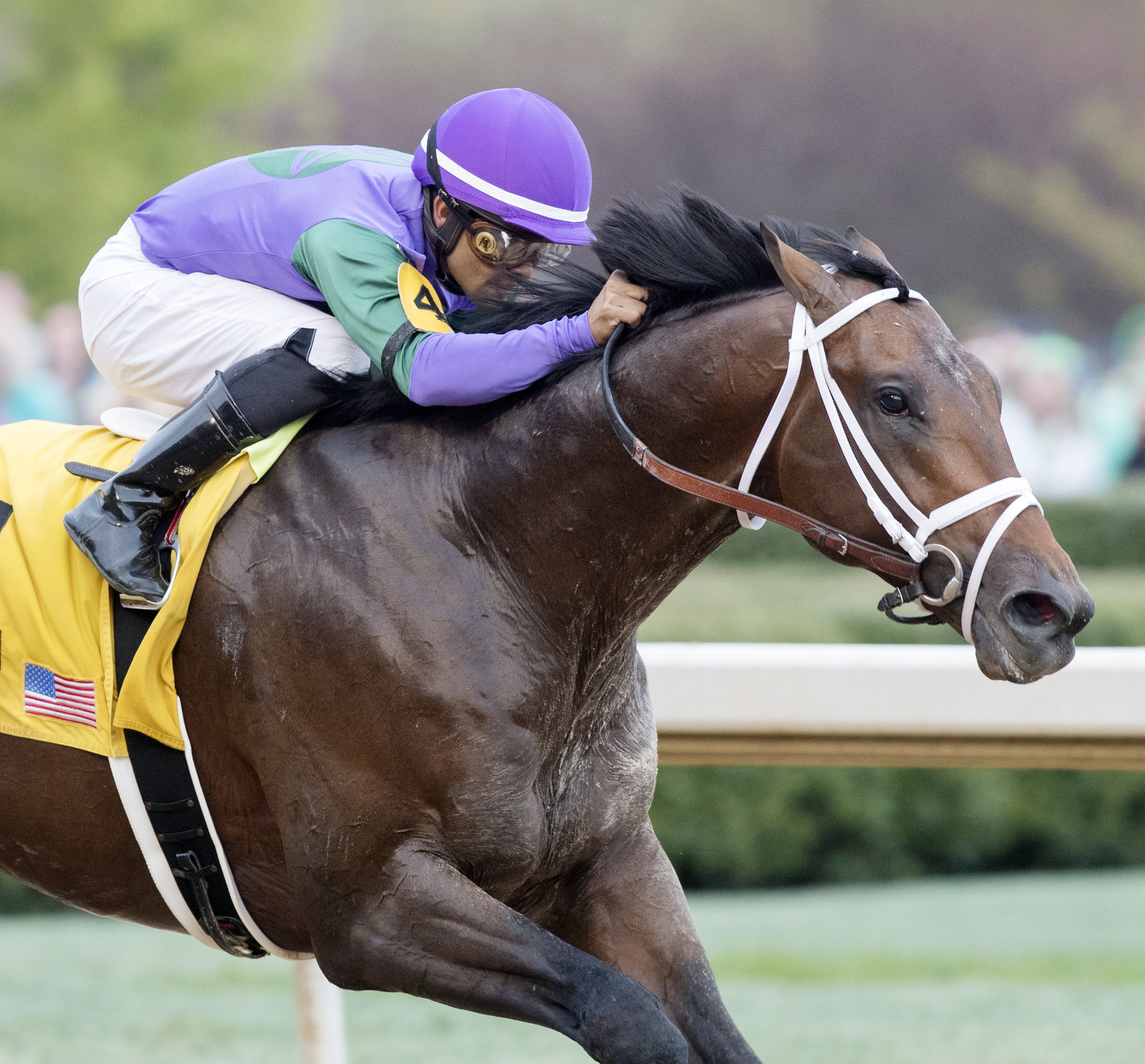 Magnum Moon wins the Rebel Stakes