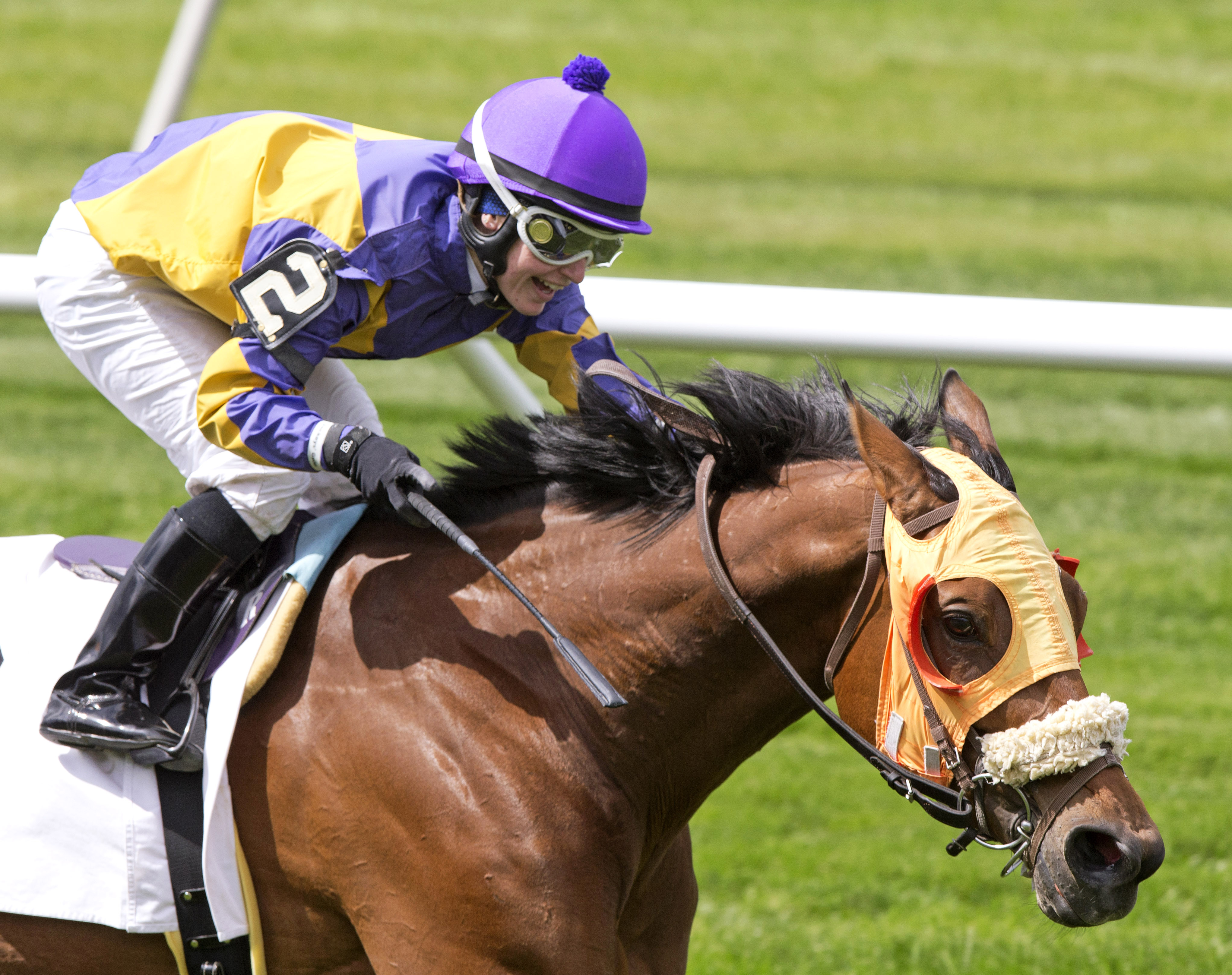Mah Jong Maddnes wins the 2014 Mount Vernon Stakes