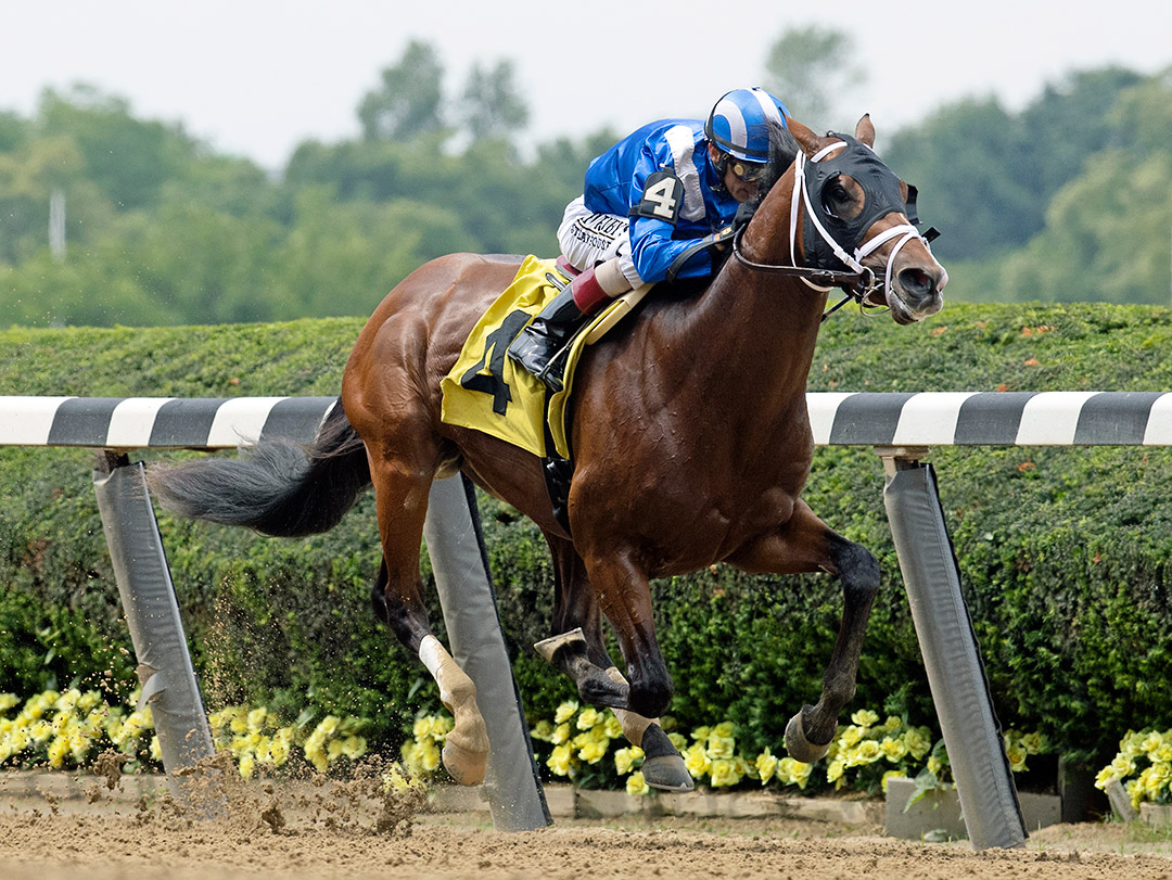 Mahaamel wins a June 4 maiden race at Belmont Park