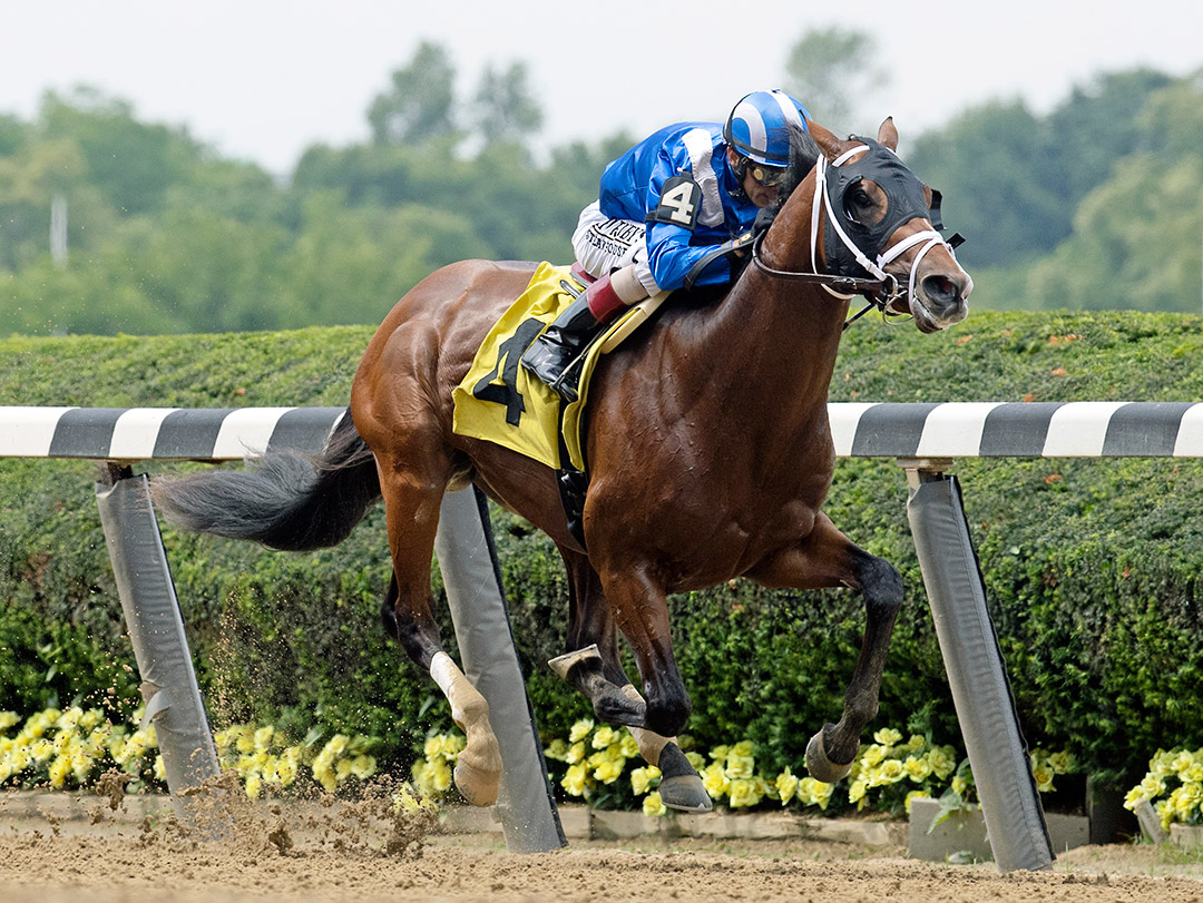 Mahaamel wins a June 4 maiden race at Belmont Park
