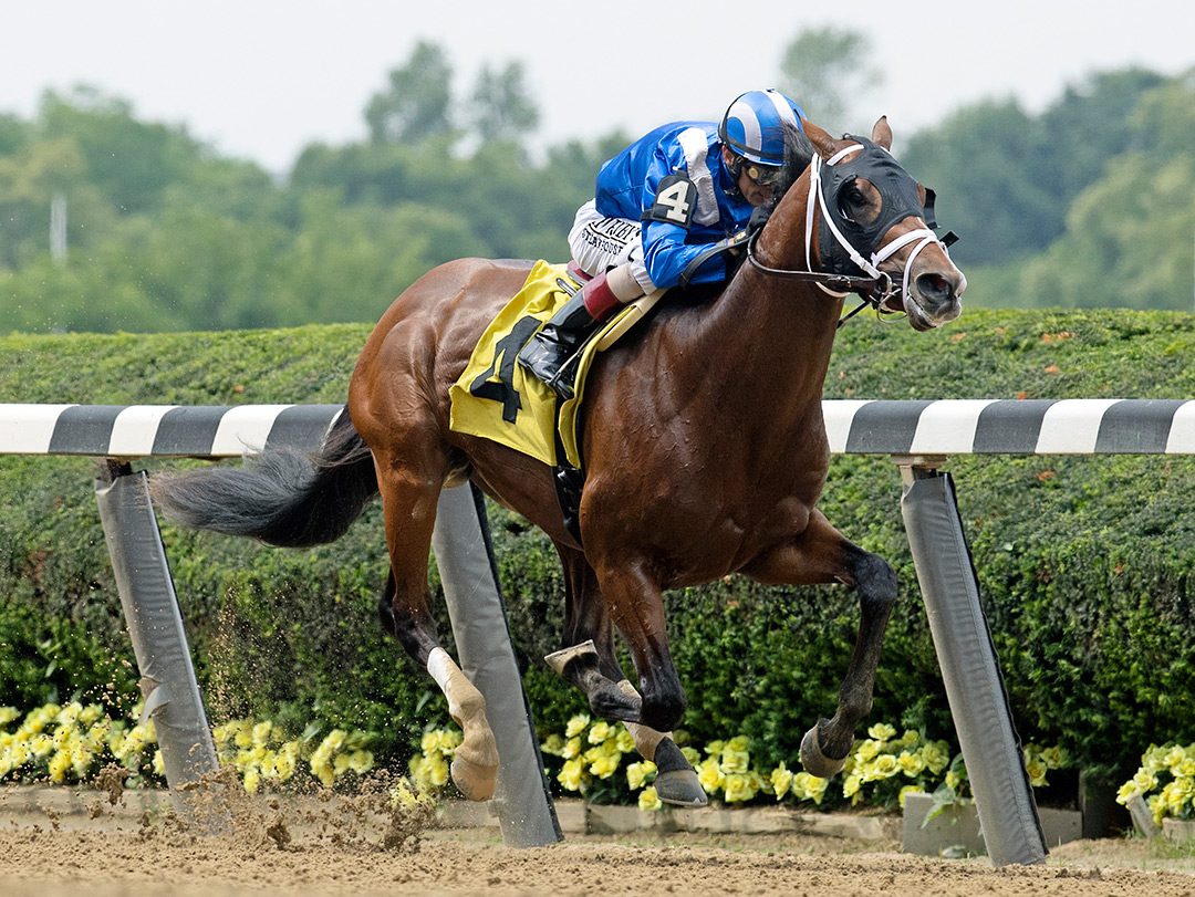 Mahaamel wins a June 4 maiden race at Belmont Park
