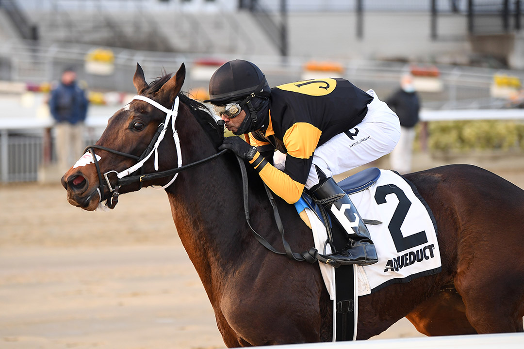 Maiden Beauty wins the 2021 Bay Ridge Stakes at Aqueduct Racetrack