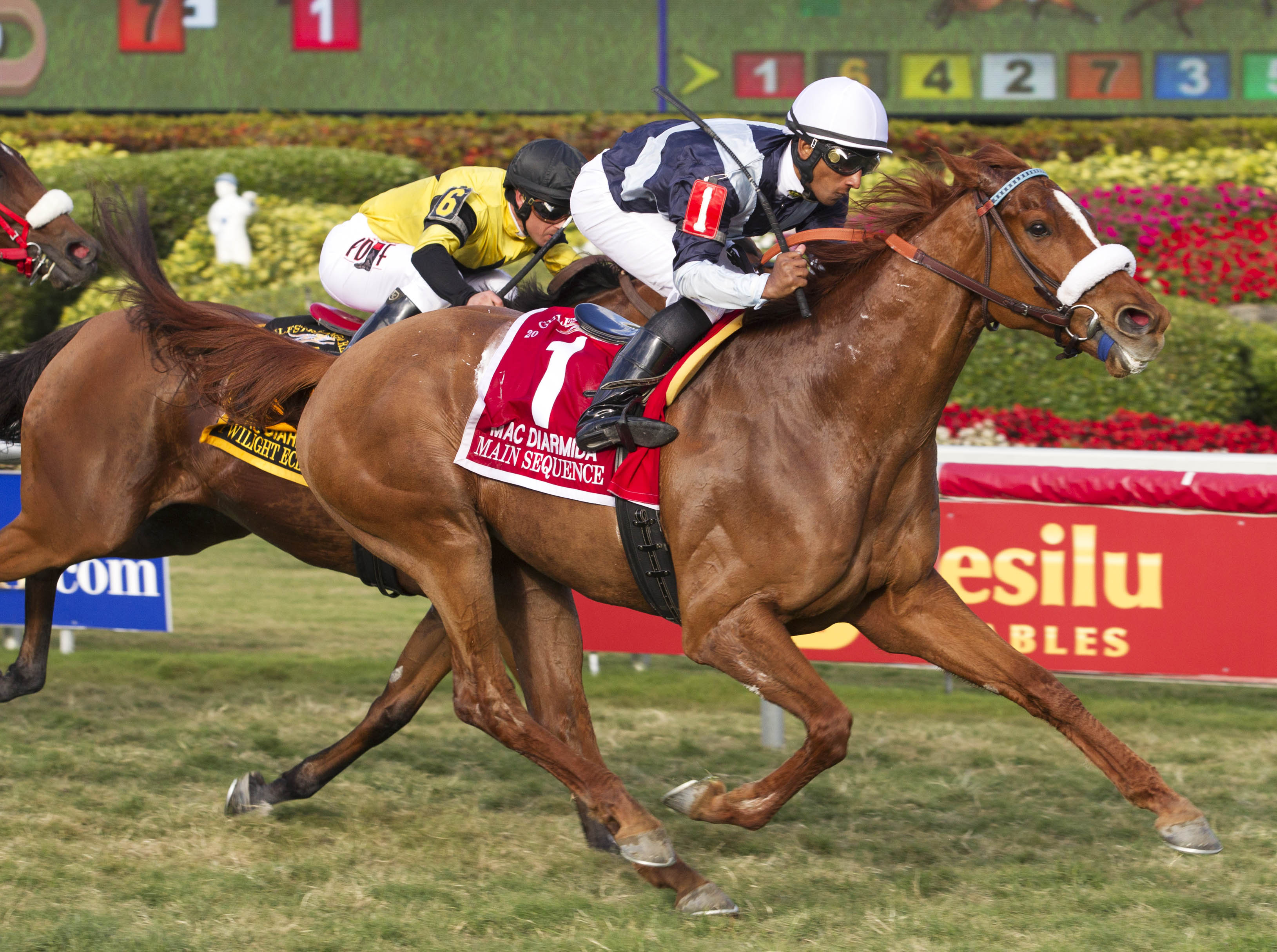 Main Sequence wins 2015 Mac Diarmida