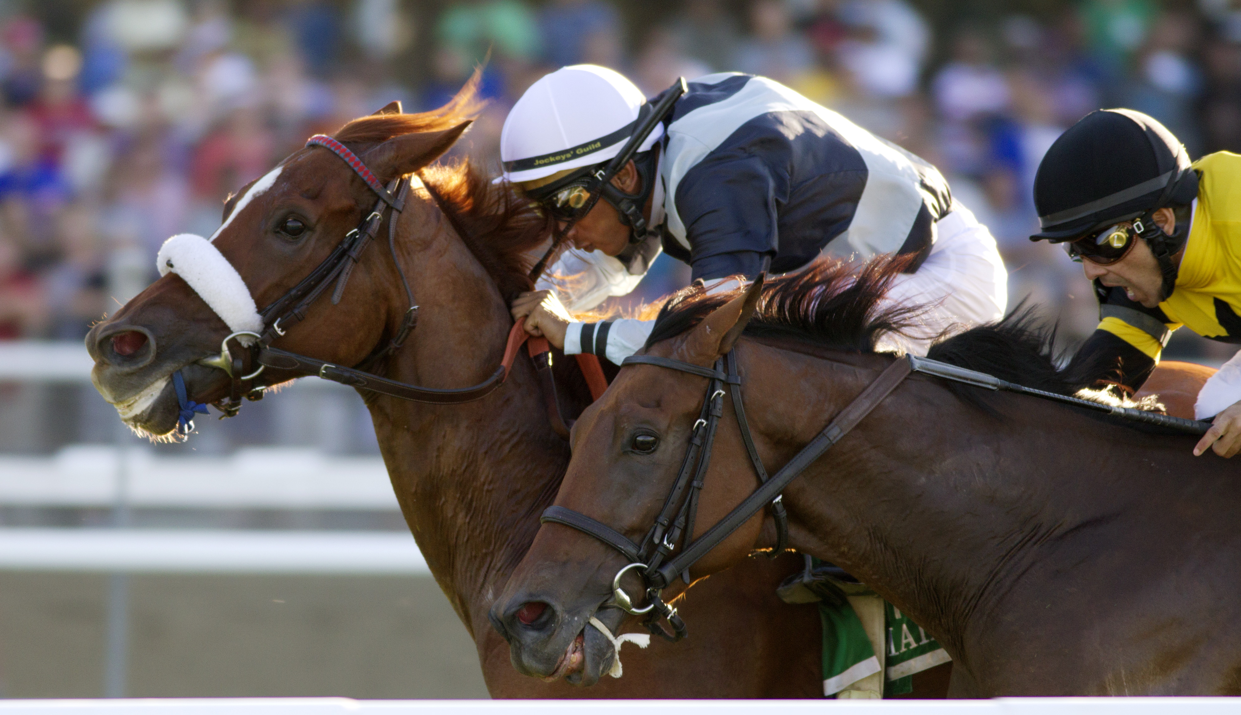Main Sequence 9-27-2014