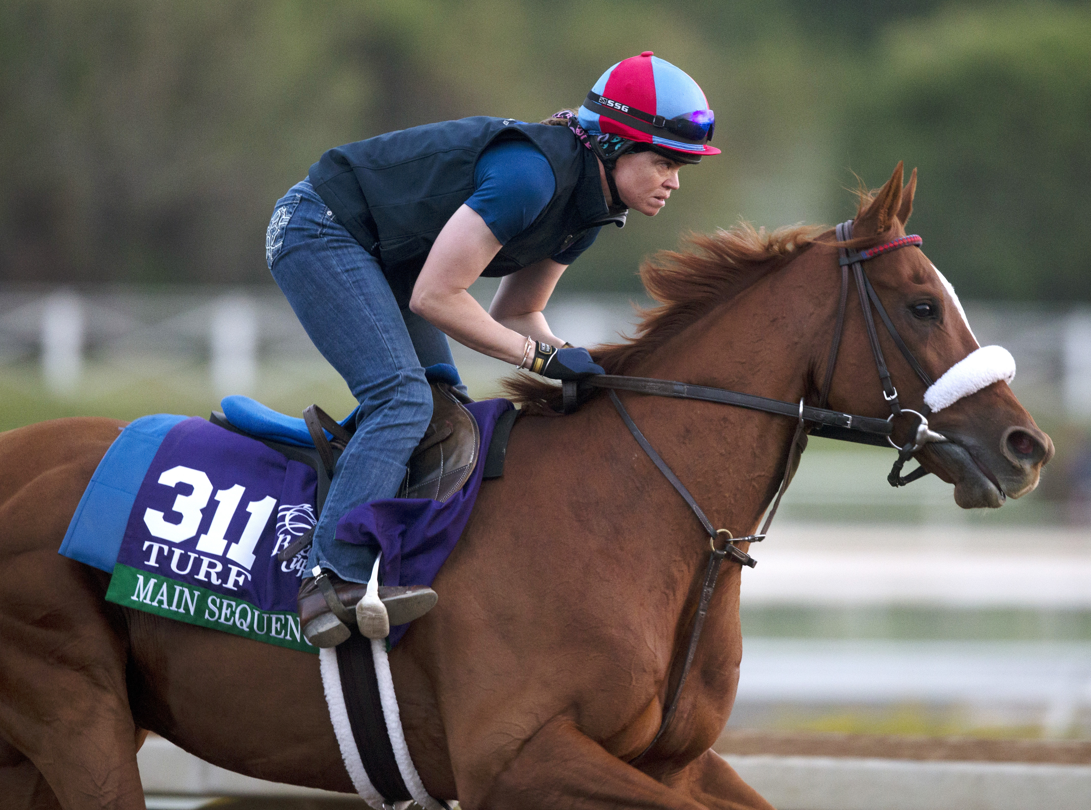 Main Sequence at Santa Anita on Oct. 27