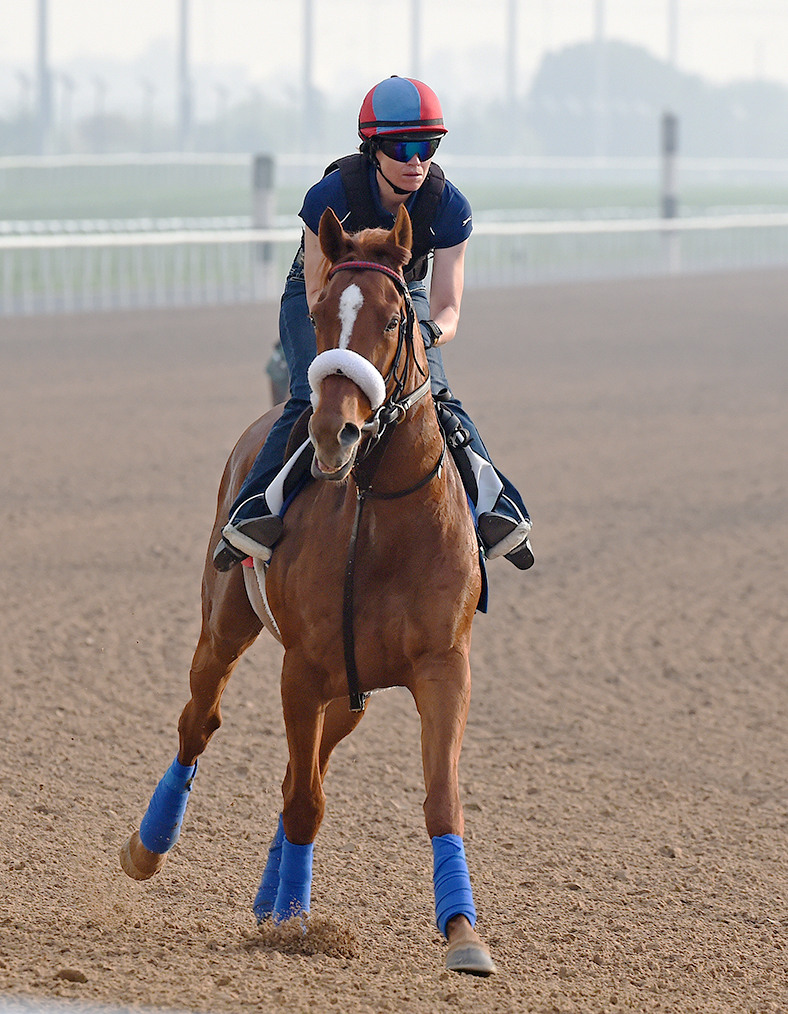 Main Sequence at Meydan on March 25