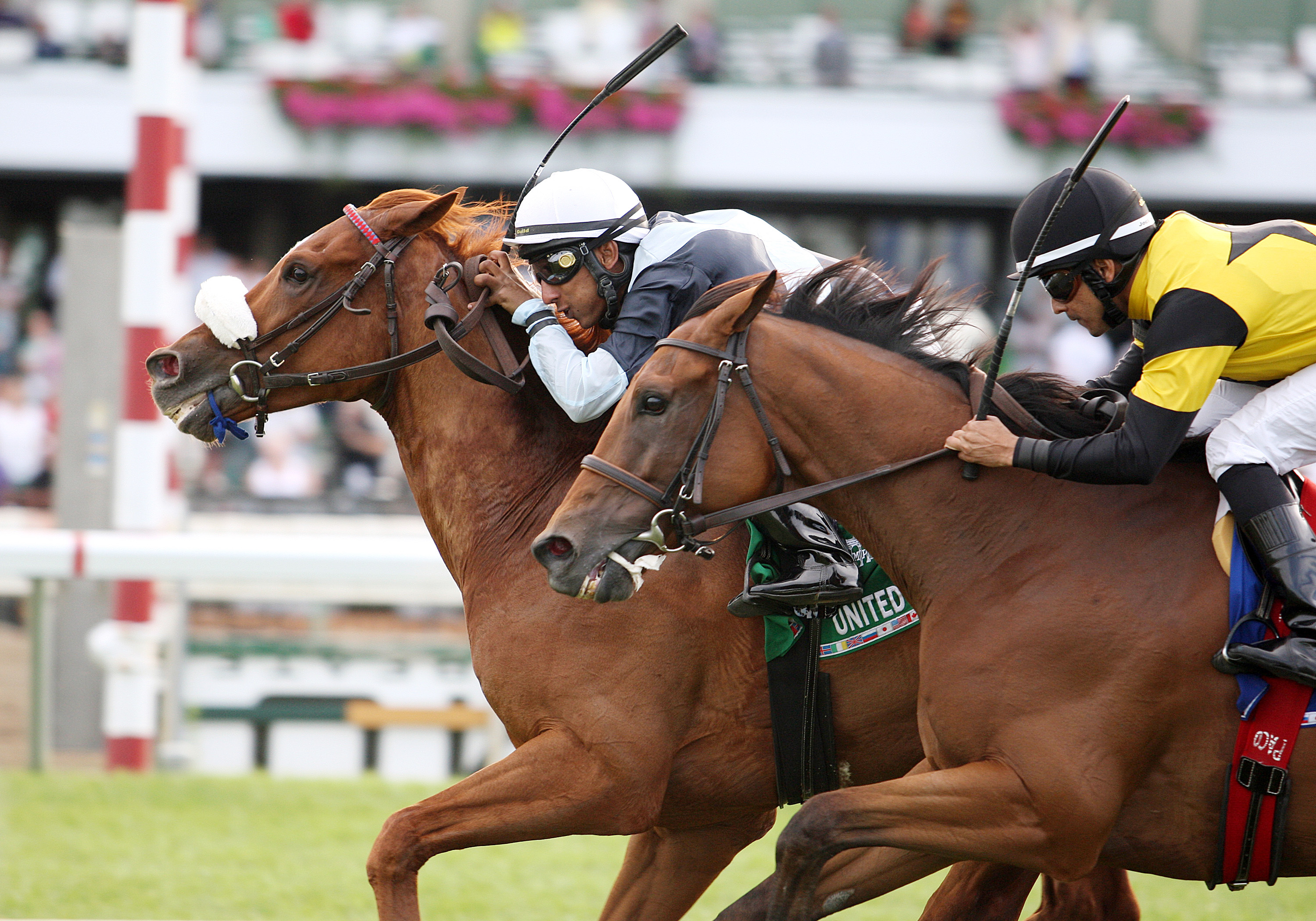 Twilight Eclipse finishes second in the United Nations