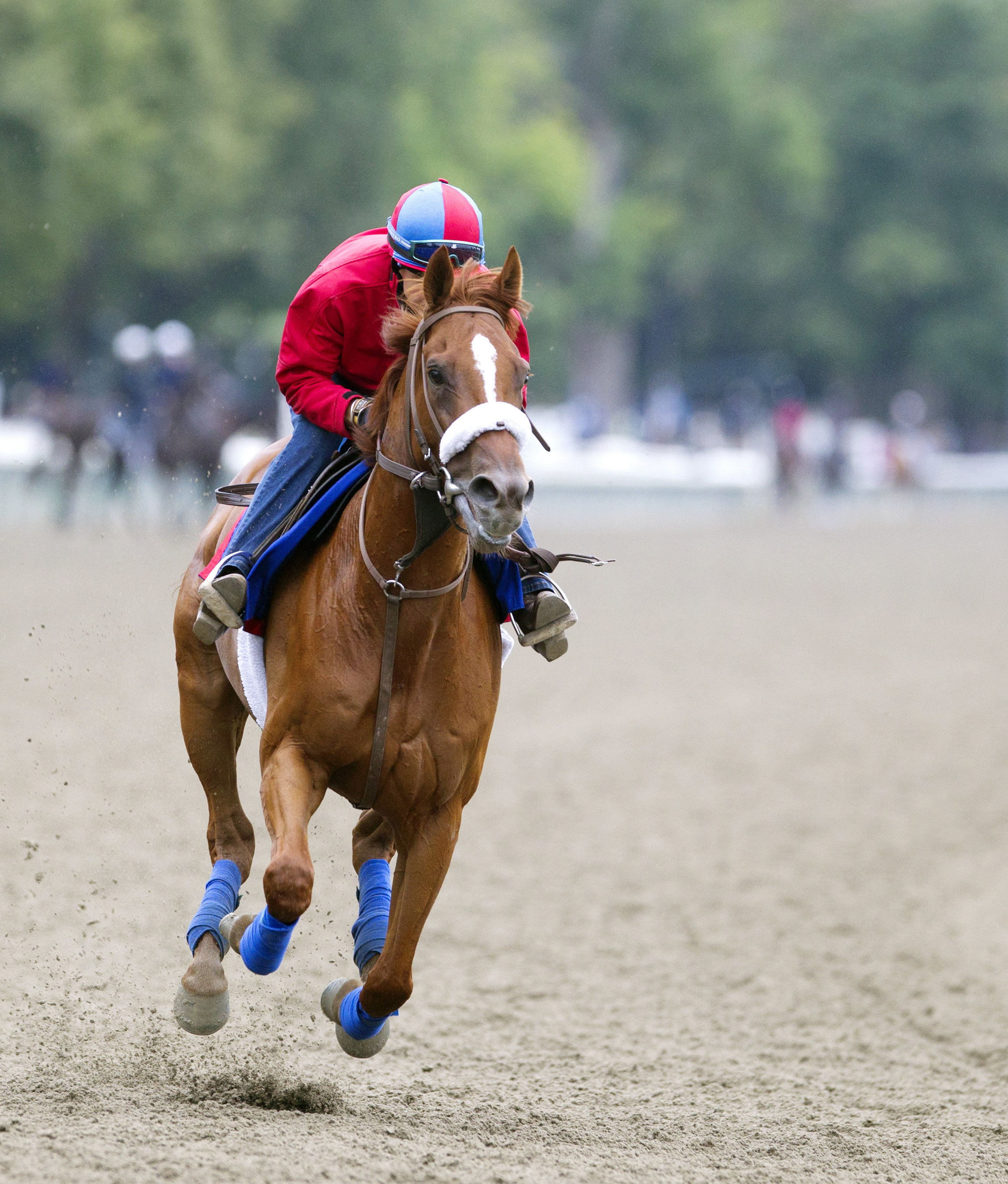 Main Sequence trains on Aug. 15