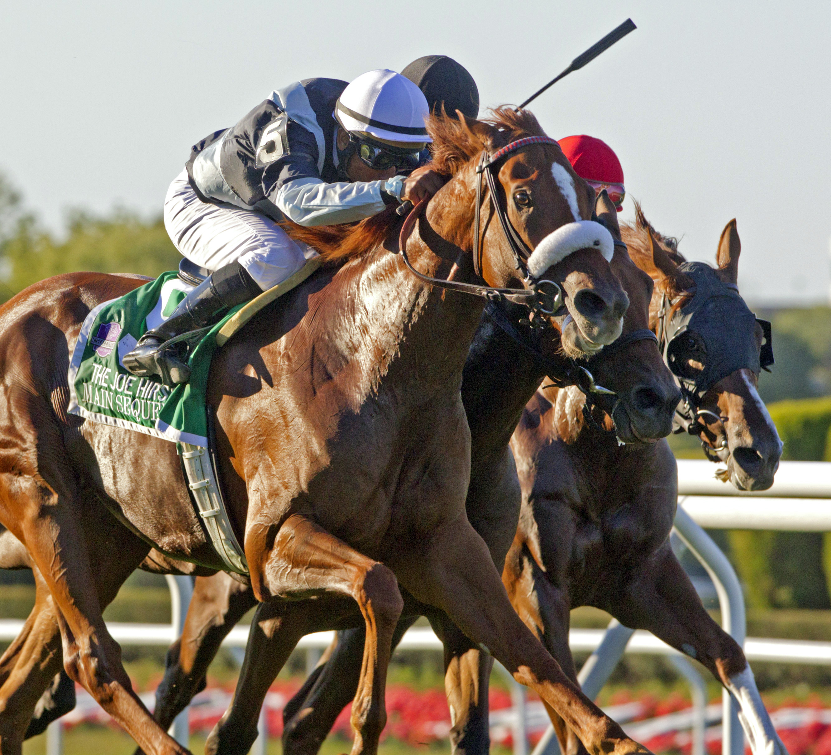 Main Sequence wins the Joe Hirsch Turf Classic