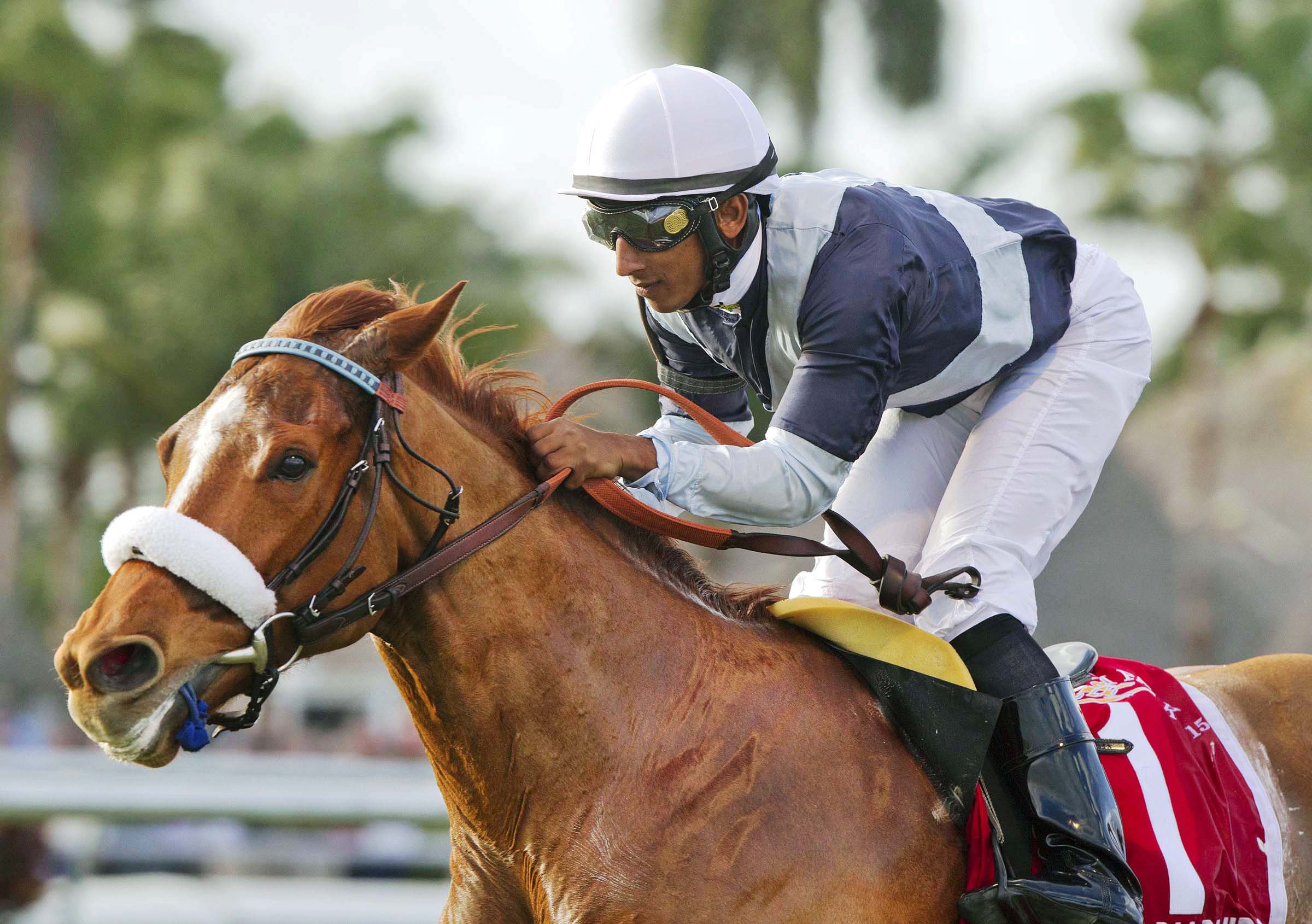 Main Sequence wins the Mac Diarmida