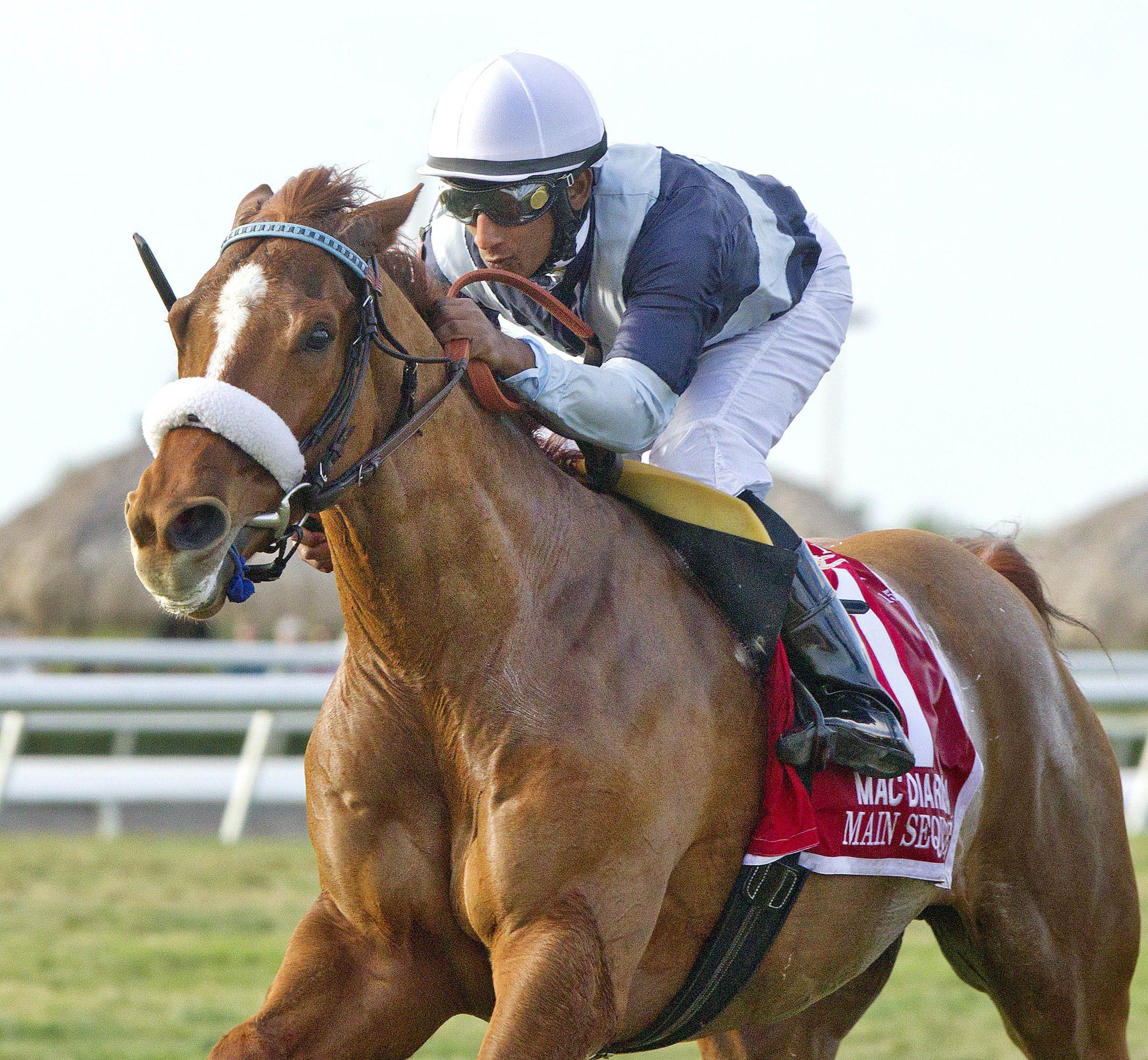 Main Sequence wins the Mac Diarmida