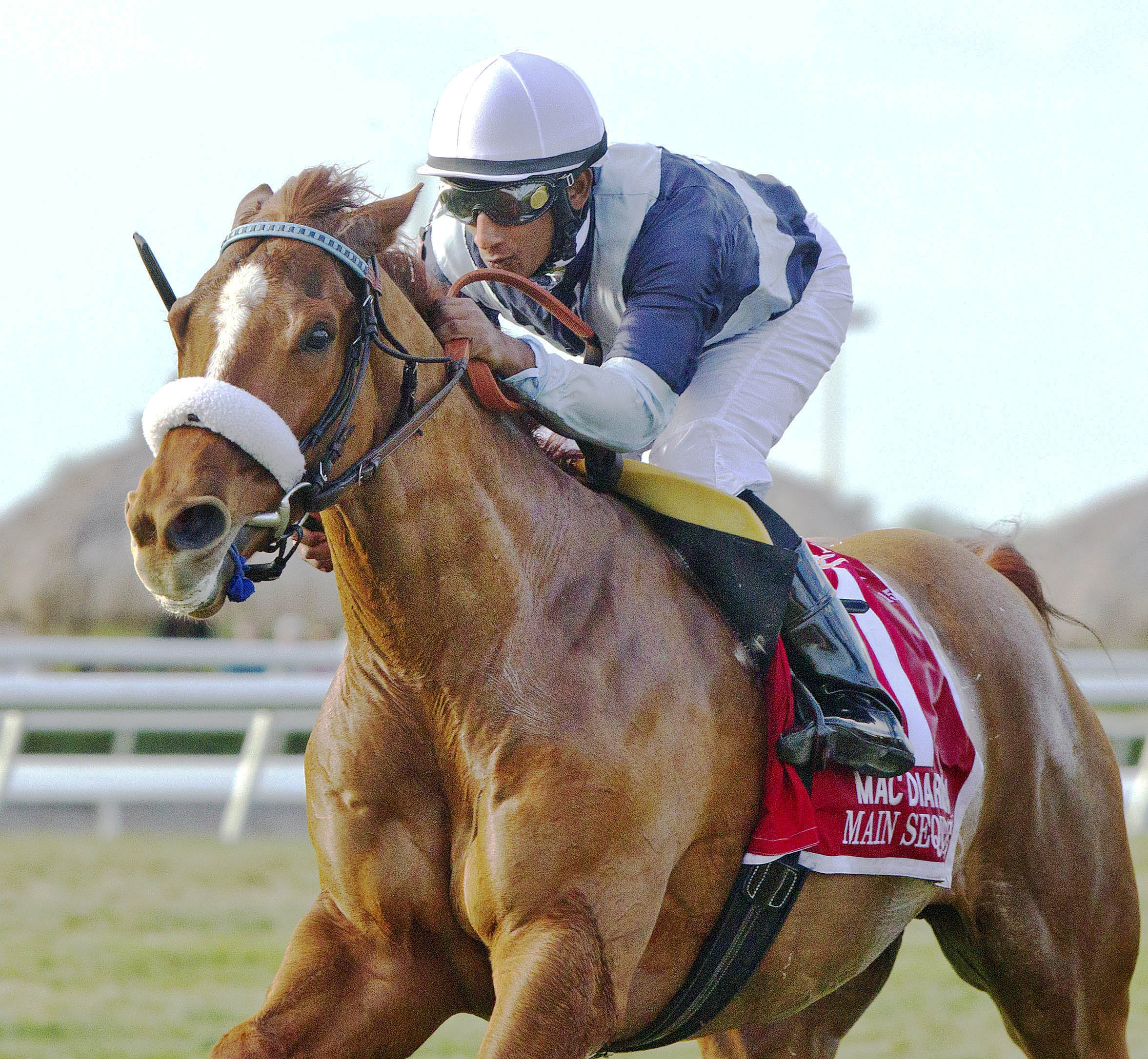 Main Sequence wins the Mac Diarmida